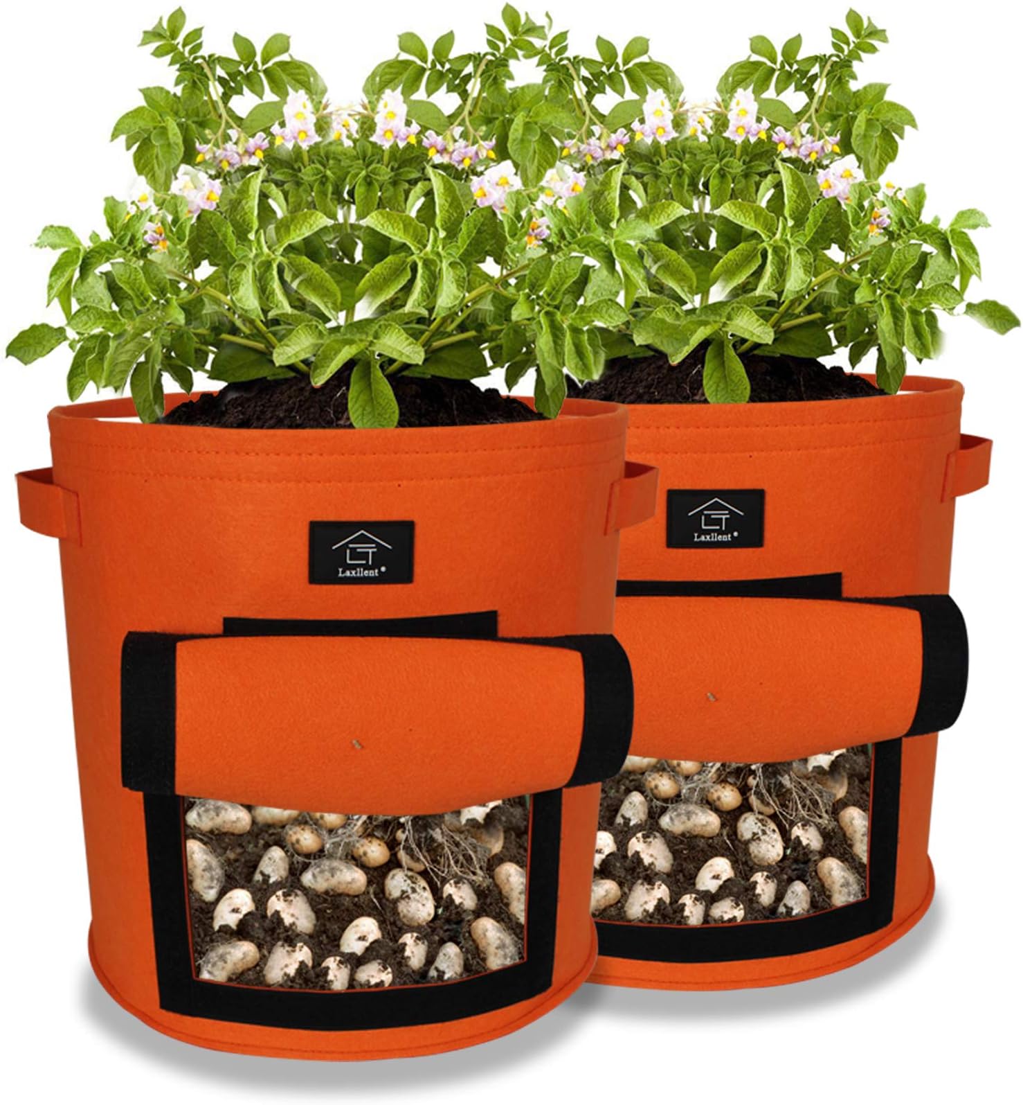 Laxllent Vegetable Growing Bag, 33 L/9 Gallon Soft-sided Plant Pots-Grow Bag with Window for Potato/Carrot,2 Pack,Orange
