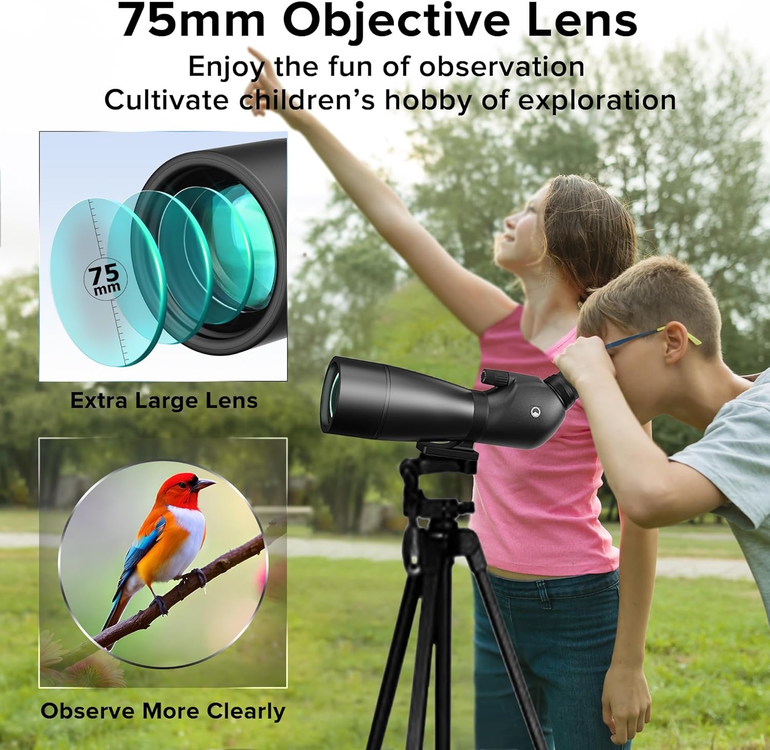 Spotting Scope, URBANCOAST 25-65x75mm Spotting Scopes with Full Size Tripod, Carrying Bag, and Scope Phone Adapter - Ideal for Bird Watching