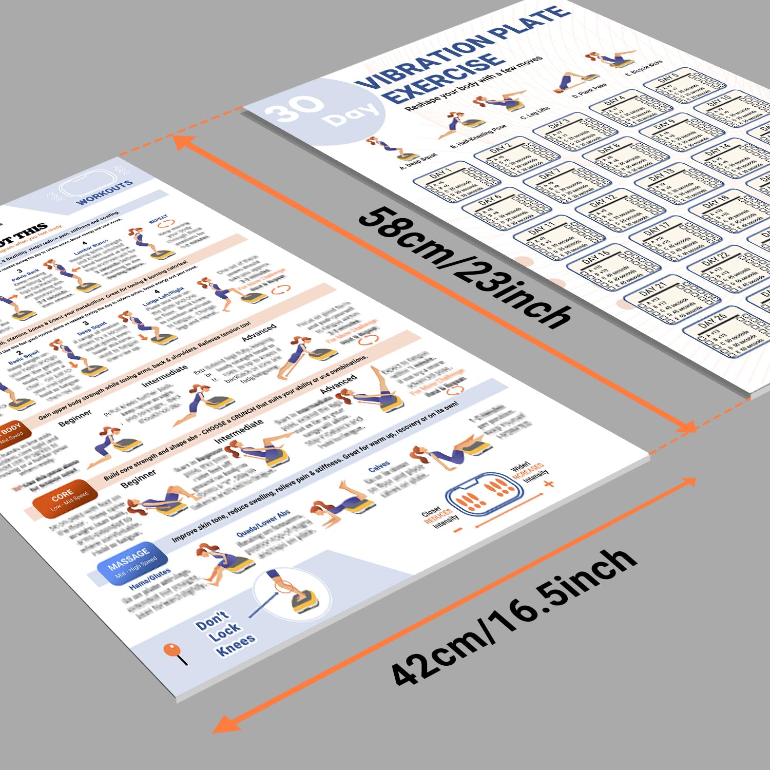 Whole Body Vibration Plate Exercise Poster, Fitness Workout Guide with 30 day Training Chart