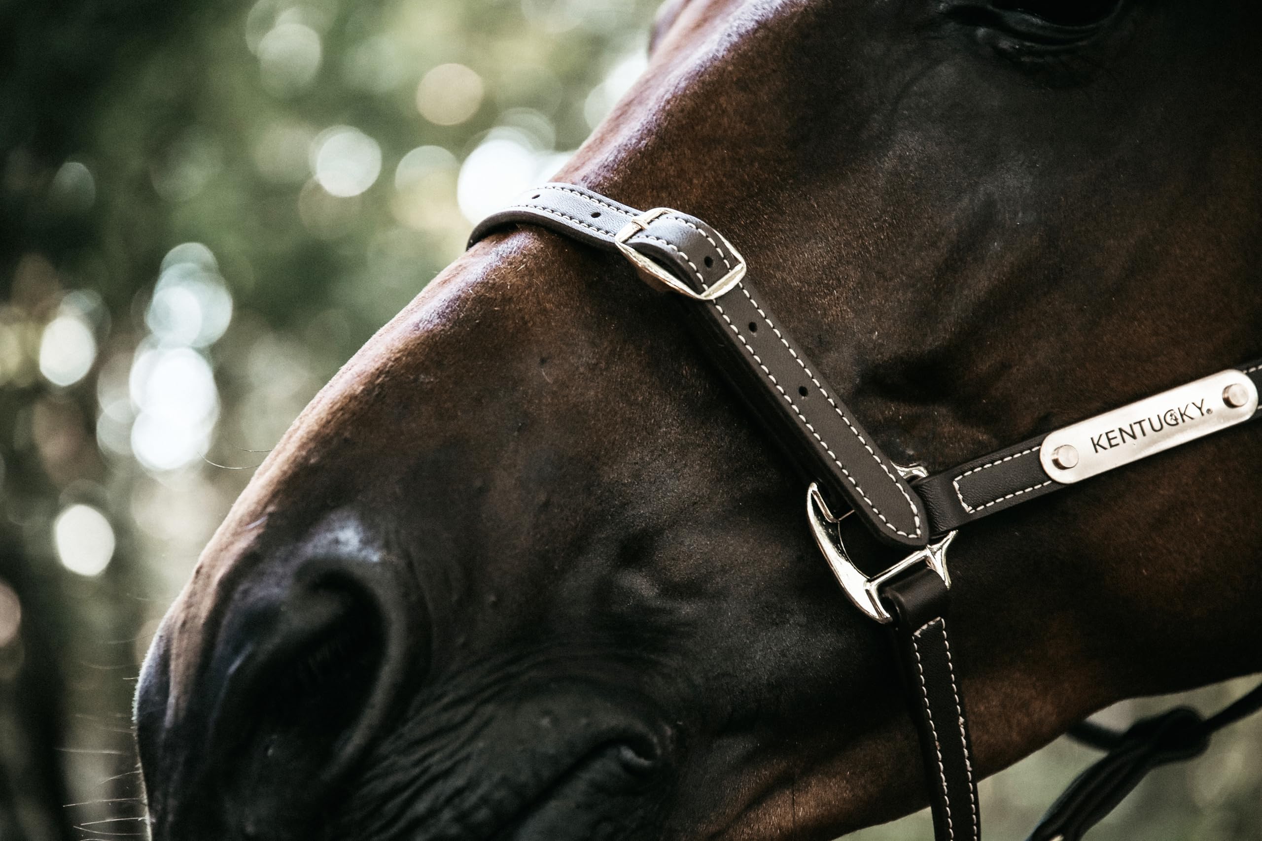 Kentucky Cabezada de Cuero Flexible para Caballos