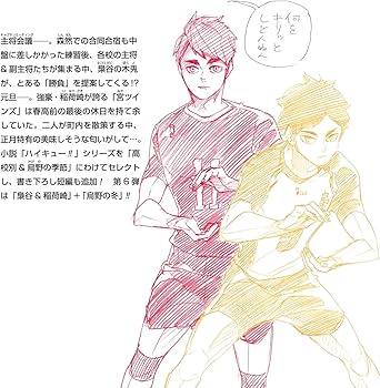 Amazon.co.jp: ハイキュー!! ショーセツバン!! 梟谷&稲荷崎/烏野高校