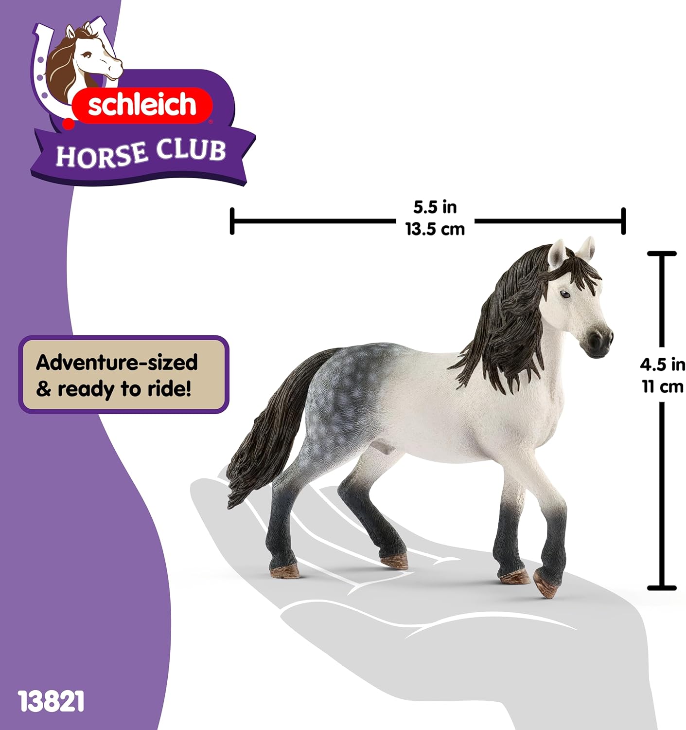 Andalusian stallion