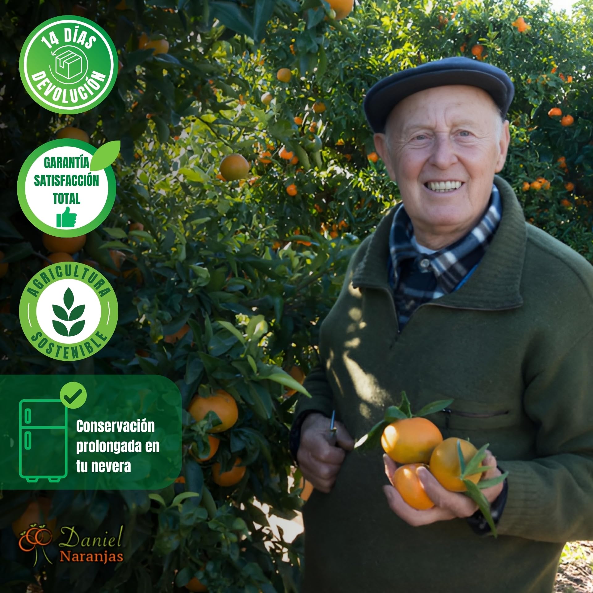 NARANJAS DANIEL | Aguacates frescos de Valencia (4 KG) | Del árbol a tu mesa | Sabor equilibrado, cremoso y fresco | Sin conservantes ni aditivos