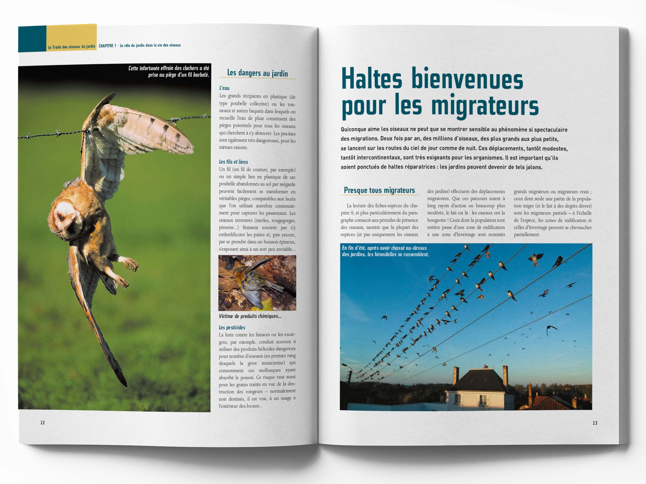 Le traité Rustica des oiseaux: Des jardins, des bois et des campagnes