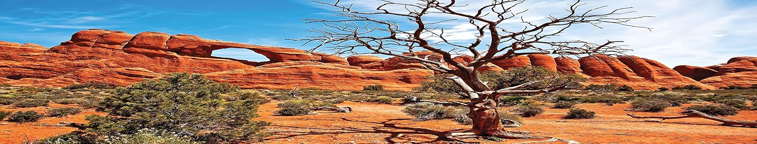 Reptile Habitat Background; Arch with Tree, for 36Lx24Wx18H Terrarium, 3-Sided Wraparound