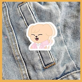 Amazon.com : 8pcs Stray-Kids Hair Clips Set,Stray-Kids Merch