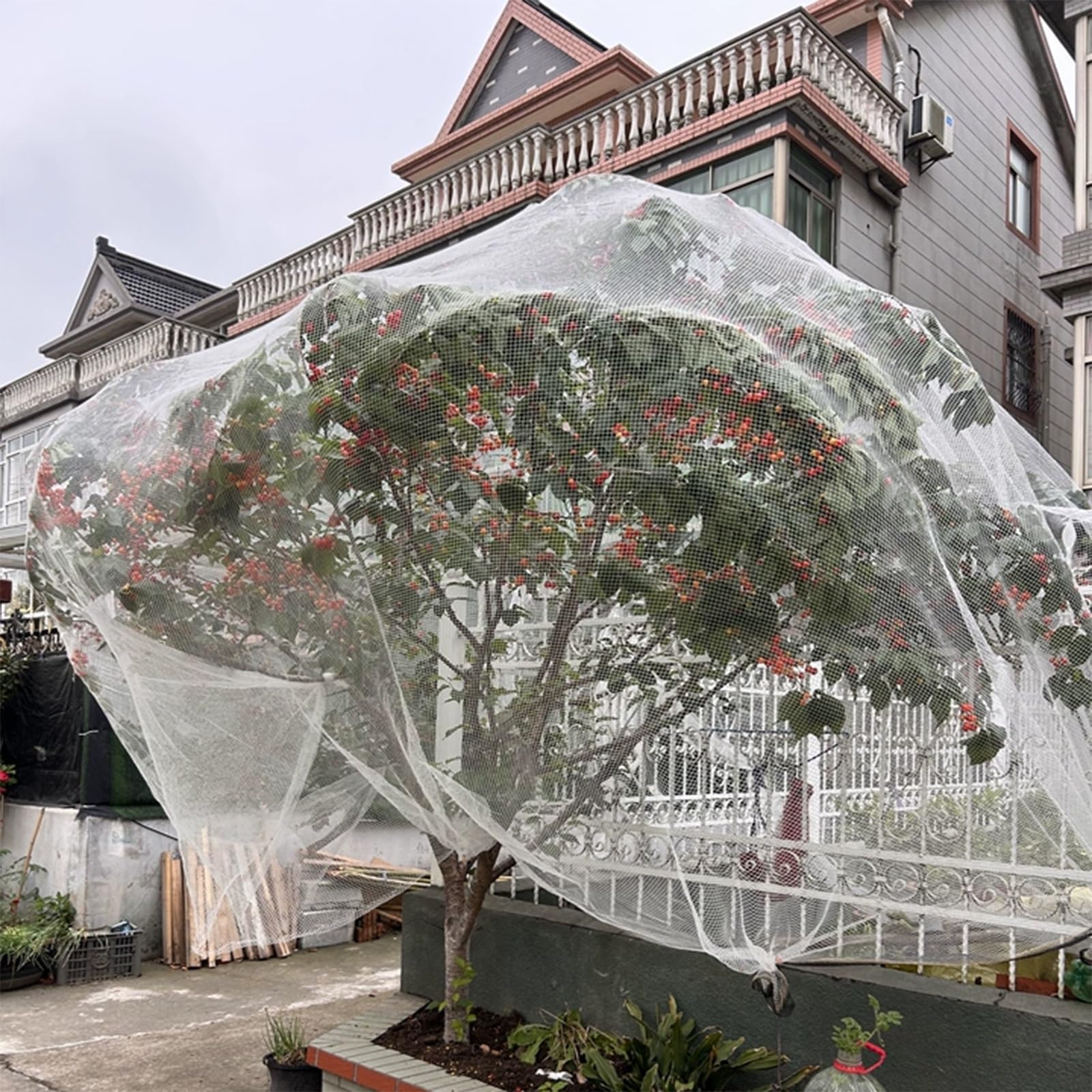 Malla Antigranizo para Huerto HDPE, Red Antigranizo Alta Resistencia - Resistente a Desgarro, Tamaño Cortable para Protección de Frutas y Verduras y Árboles(5 x 5 m/16.4 x 16.4 ft)