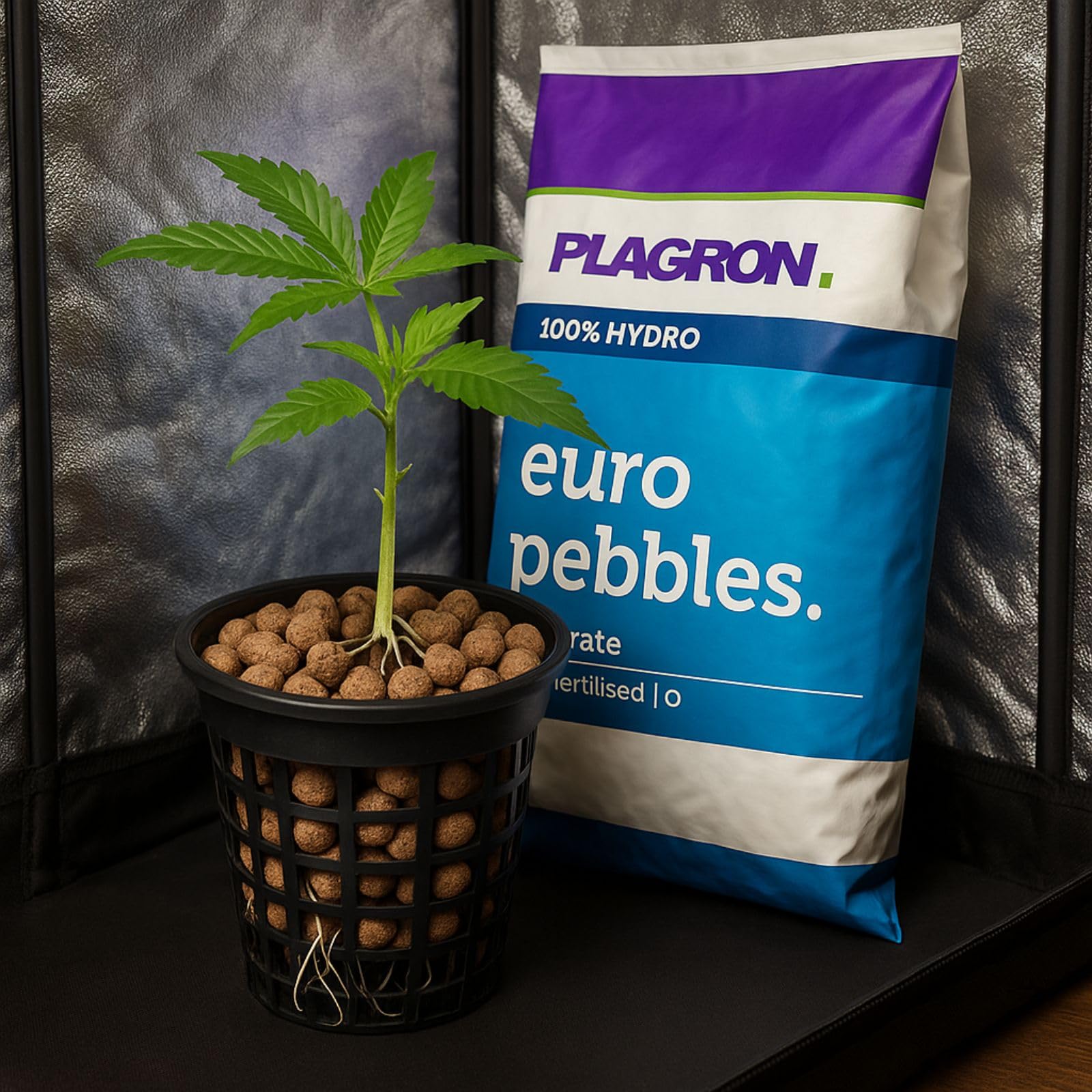 Weedness Plagron Euro Pebbles 45 L – Abono bolas de arcilla hidropónicas gran volumen