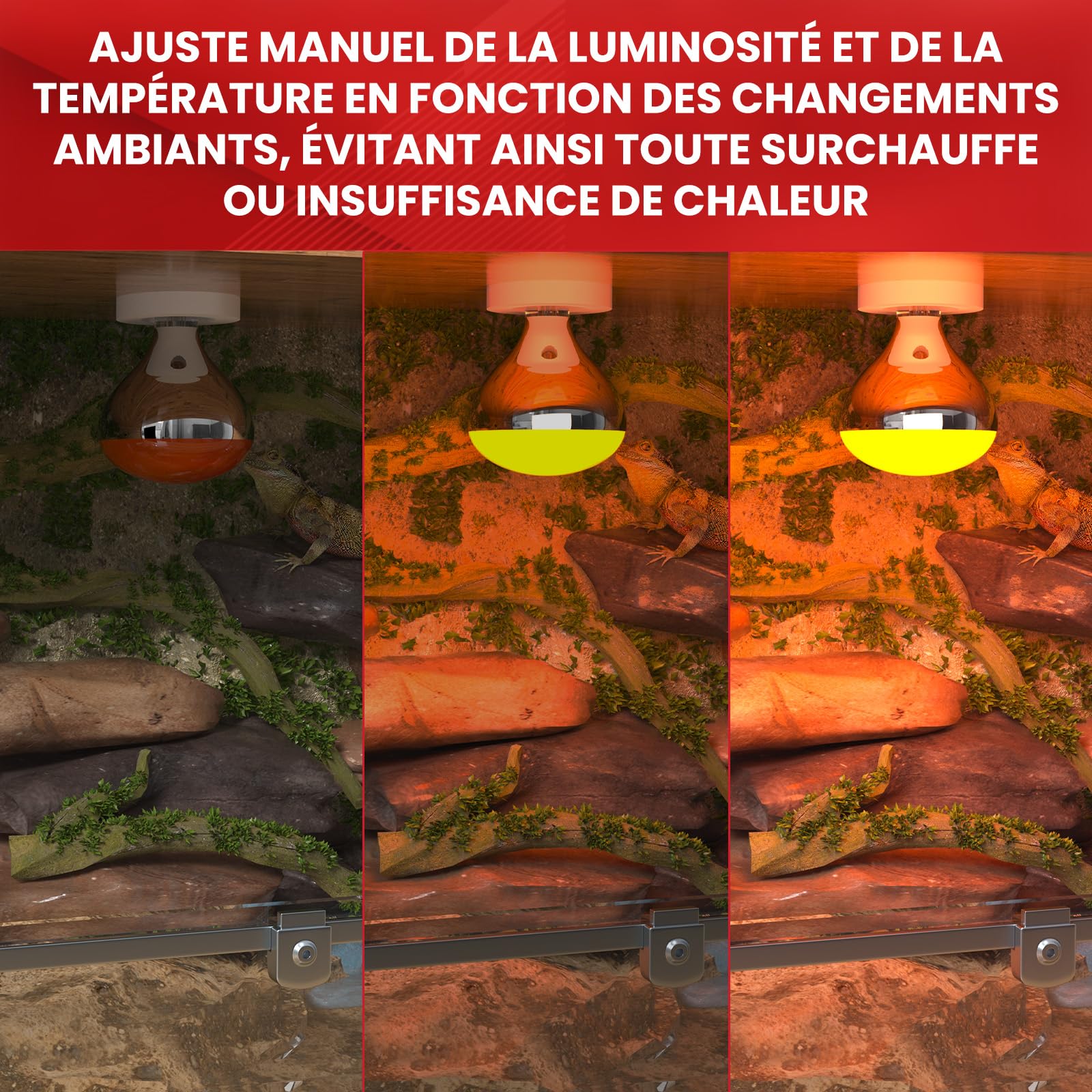 GlowUp Ampoule Infrarouge Chauffante 250W E27, R125 Graduable Lampe Chauffante, Ampoules Chauffantes Infrarouges Réflecteur pour Chiot, Poussin(Lote de 2)