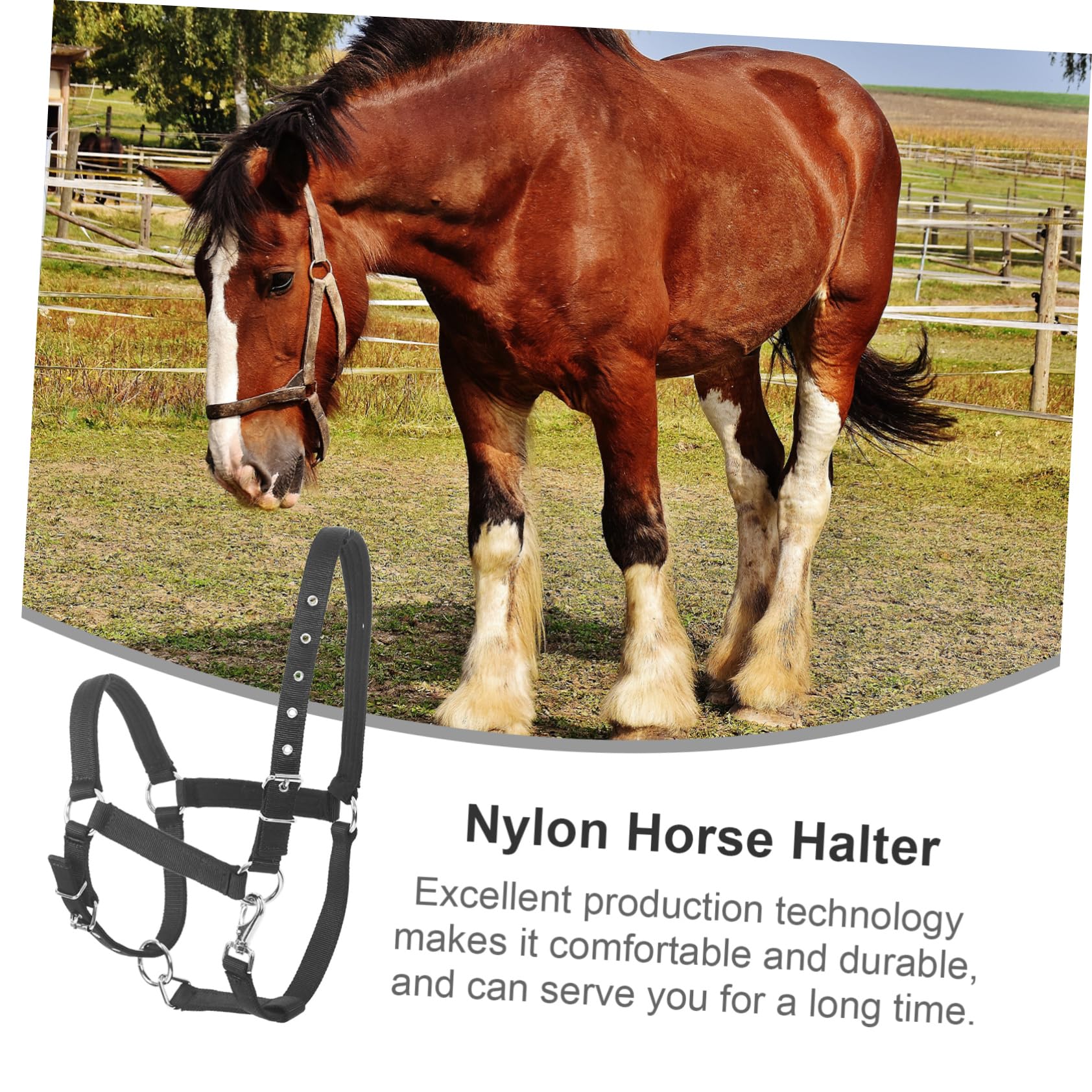 BESPORTBLE Cabestro Ajustable de Nylon para Caballos Alta Durabilidad y Cómodo de Llevar, Accesorio Ecuestre Adecuado para Montar y Eventos en Color Negro