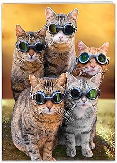 Funny Cat Birthday Card for Women, Men, Family, Friends - Hilarious card for a bright candle birthday celebration!