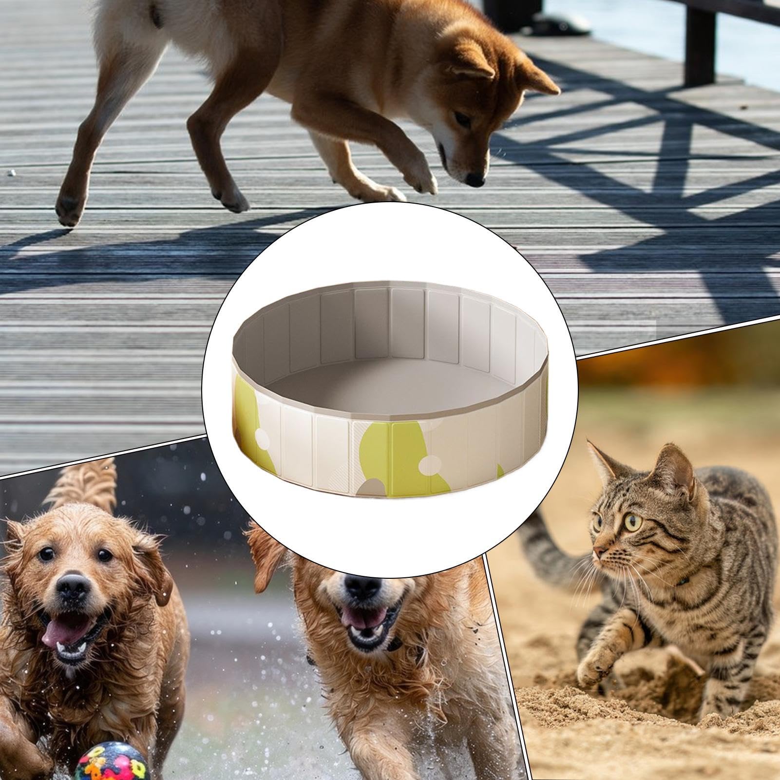 Piscine Pliable pour Chien Bassin Rabattable Portable pour Chiot