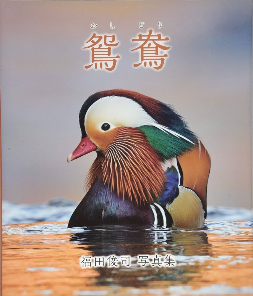 鴛鴦(おしどり) | 福田 俊司, 福田俊司 |本 | 通販 | Amazon