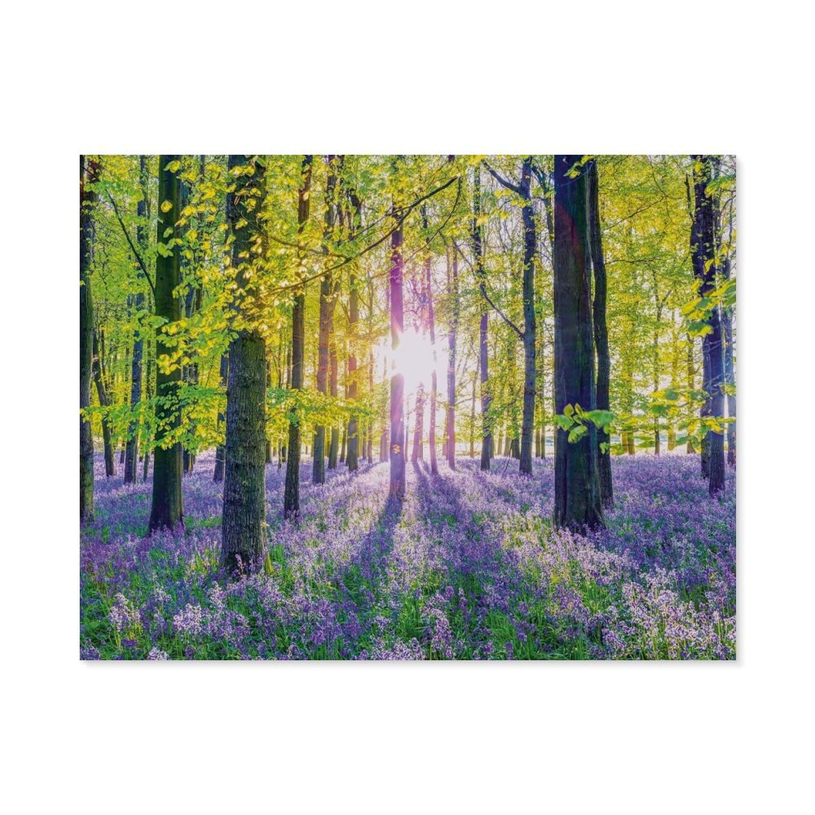 Gsbrsnts A25 Diy Oil Painting Paint By Number Kit，Delicate Bluebells In The Forest，Diy Painting By Number Kits Oil Paint Drawing Canvas Home Decor Gift(30X40cm-E85