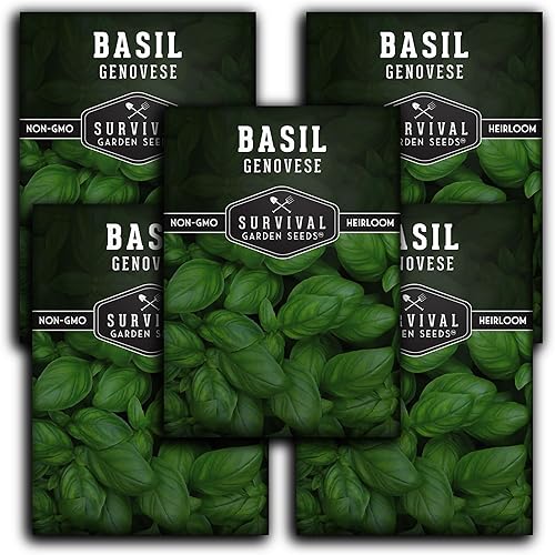 5 paquetes de semillas de albahaca genovesa para plantar, paquete con instrucciones para cultivar deliciosas hierbas italianas en tu huerto casero,