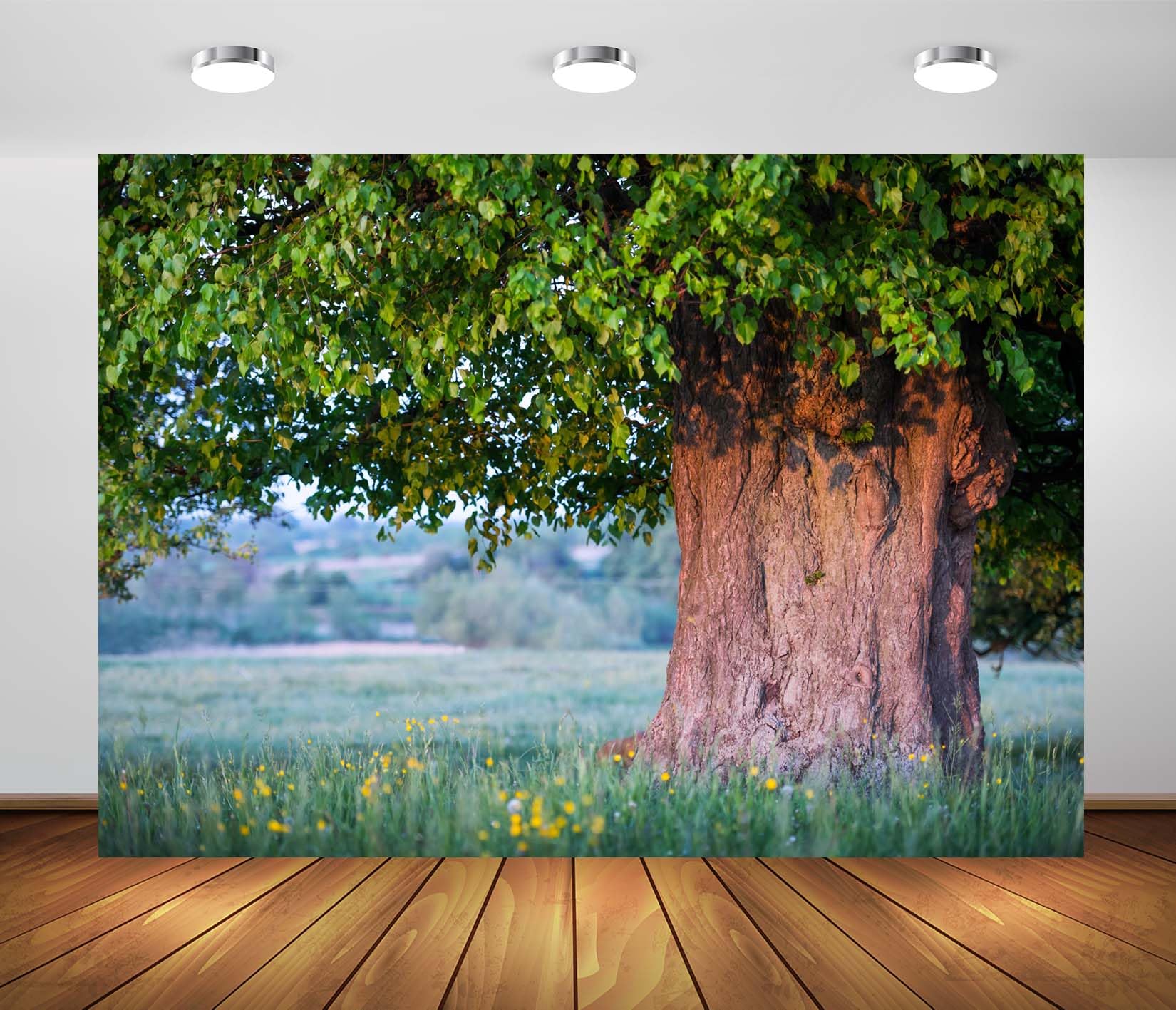 BELECO 3.6x2.5m Telo sfondo vecchio tiglio | Grande chioma albero foglie verdi rigogliose tronco spesso prato estivo sfondo picnic esterni foto