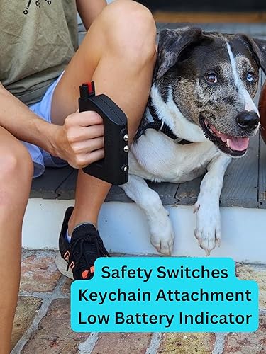 Miniatura 5 de The Stunner un combo de pistola aturdidora 3 en 1 y spray de pimienta para autodefensa, la mejor pistola aturdidora recargable para mujeres, fácil