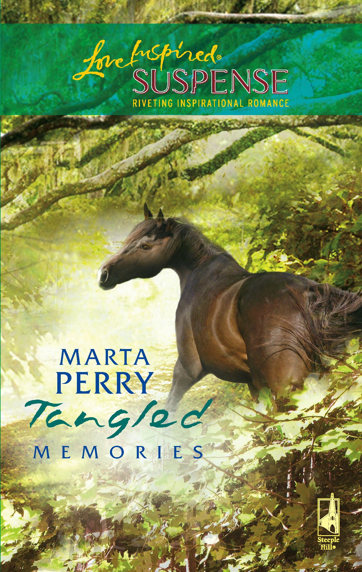 Buy Tangled Memories (Love Inspired Suspense) — BookShops.in
