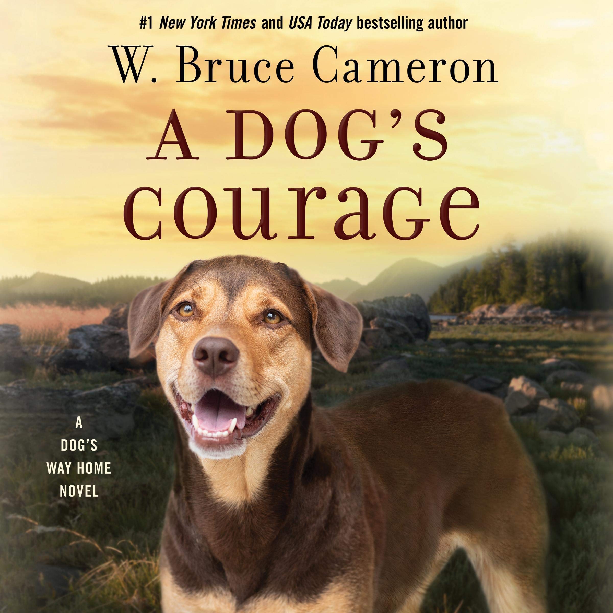 Cover art for A Dog's Courage
