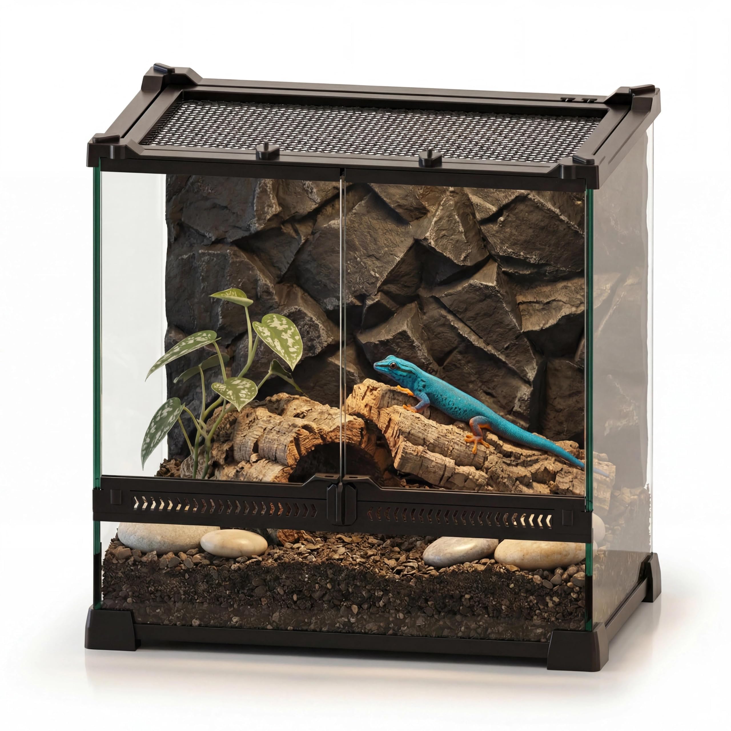 NEPTONION 12"x8"x12" Reptile Terrarium, Double-Door Glass Arboreal Vivarium for Small Climbing Lizards Such as Juvenile Agamas, with Lock, Cable Port & Waterproof Deep Base Below Front Doors
