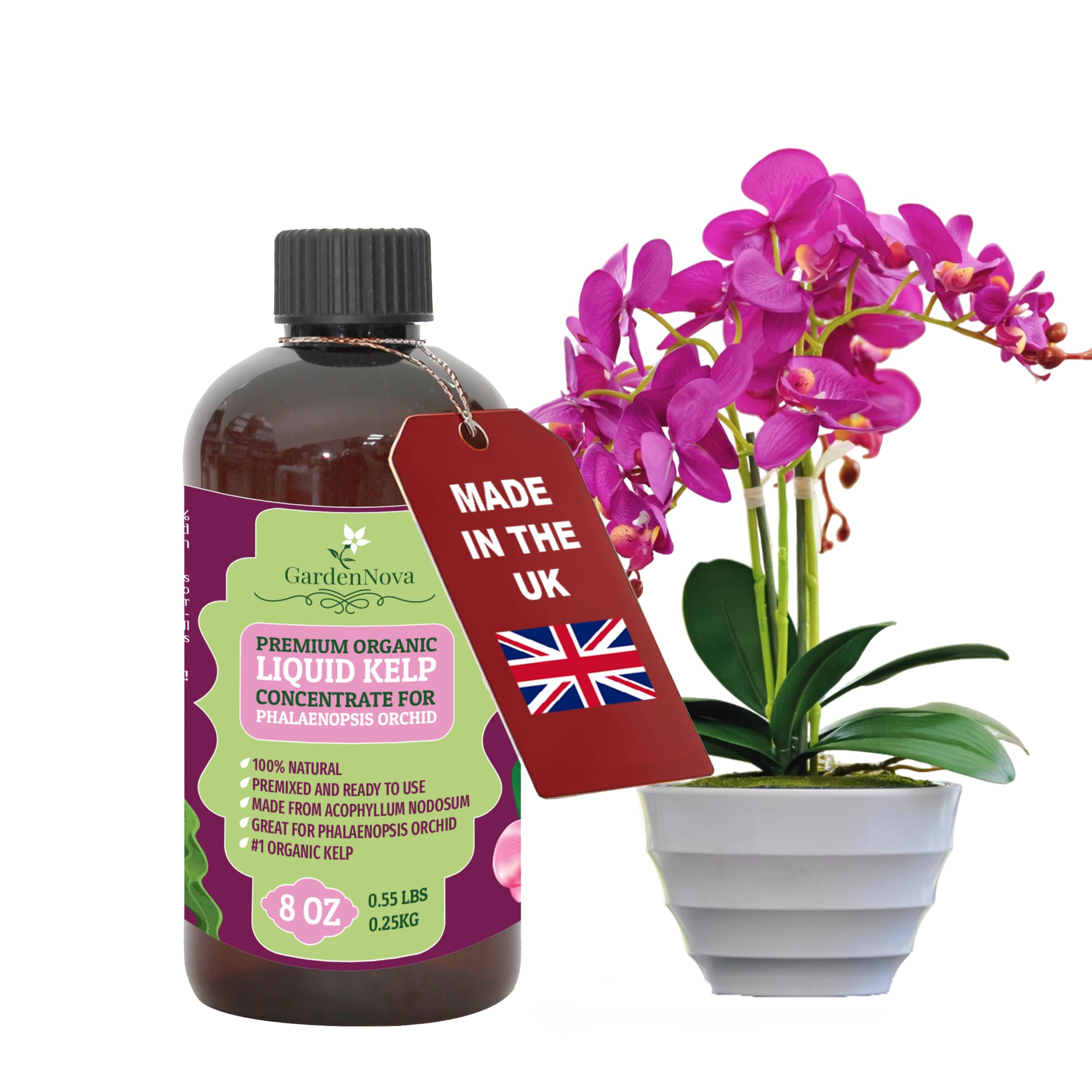 GARDENNOVA Premium Organic Seaweed & Kelp Superfood for PHALAENOPSIS Plants - 8 oz - Liquid Kelp Fertilizer Concentrate (Makes 25 Litres)