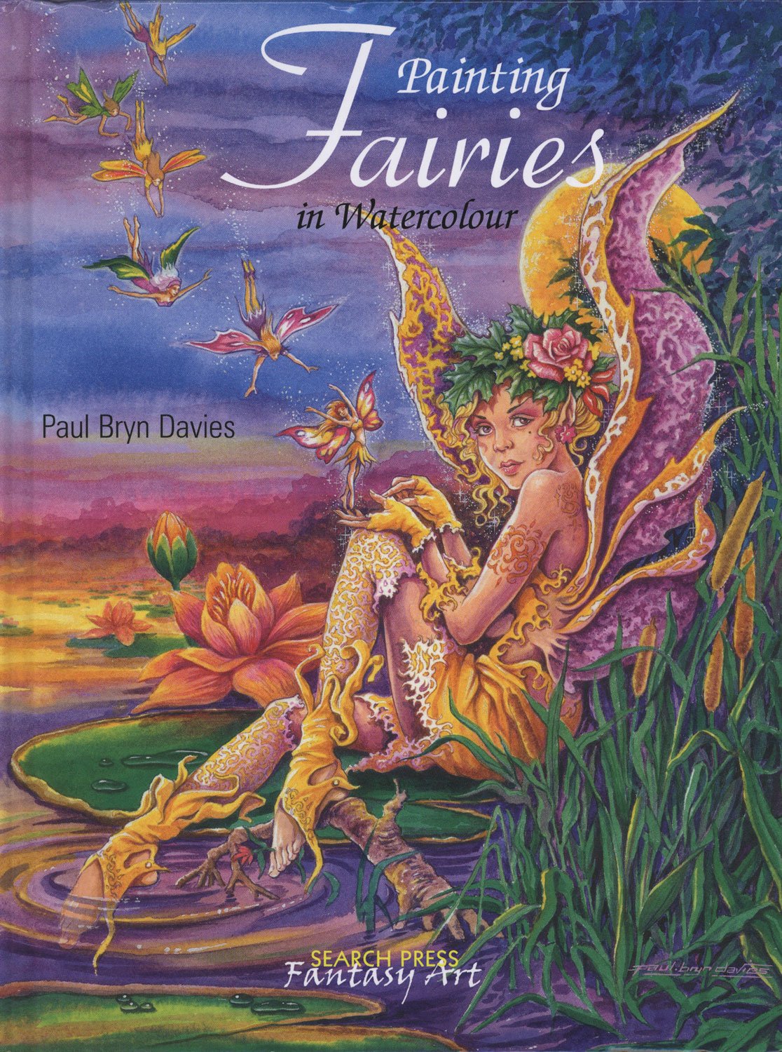 Paint Fairies in Watercolour by Paul Bryn Davies (Paperback) New Book