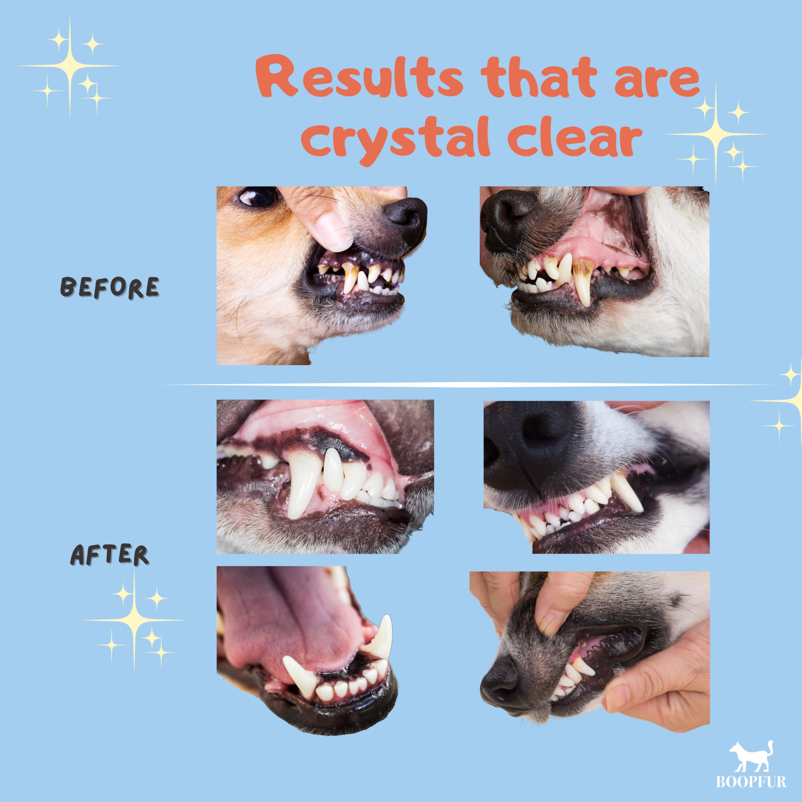 Cepillo de dientes eléctrico para mascotas, luz LED y cerdas suaves, para perros y gatos