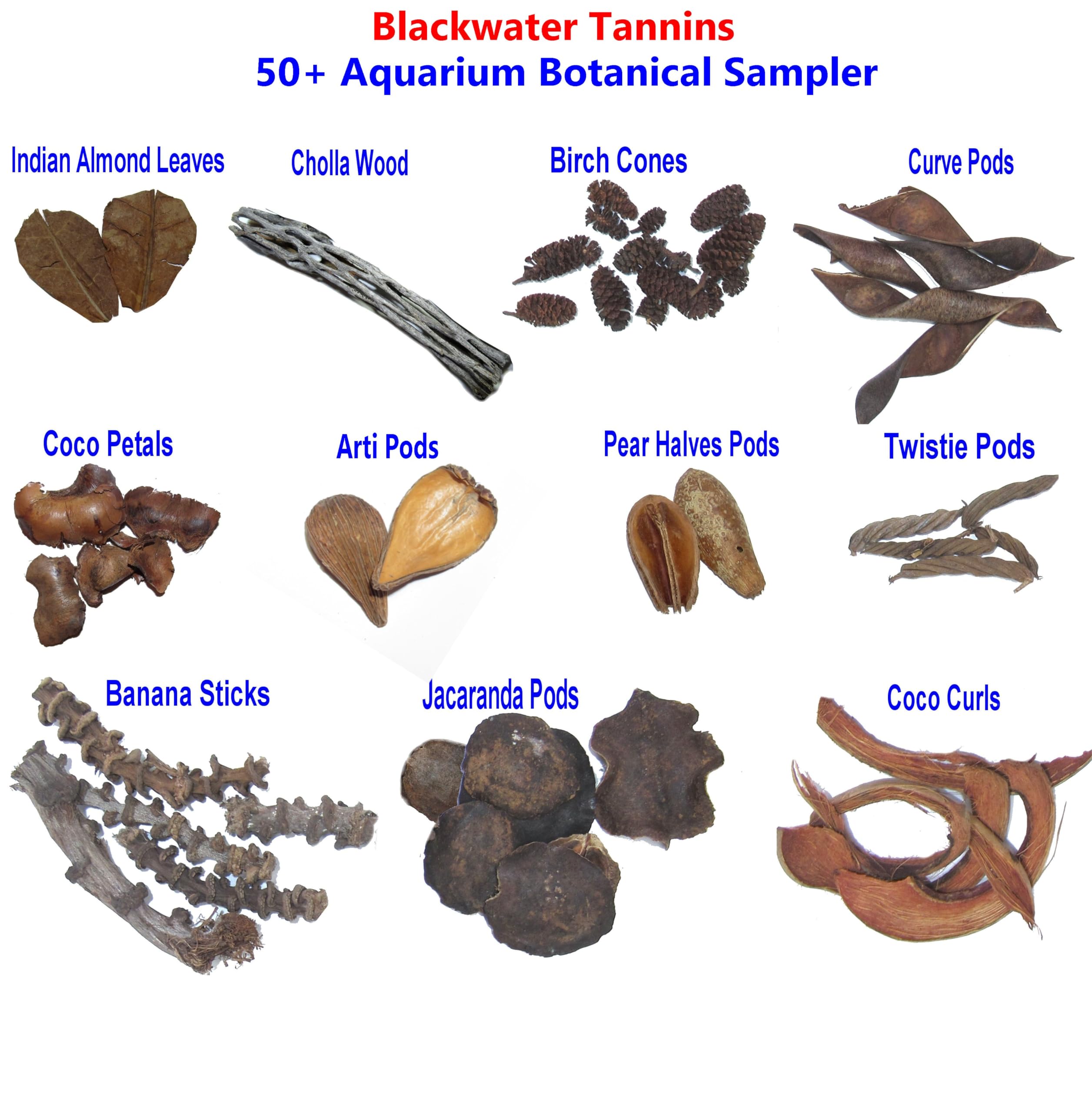 Catappa Leaves 30-Piece Aquarium Botanicals Sampler Indian