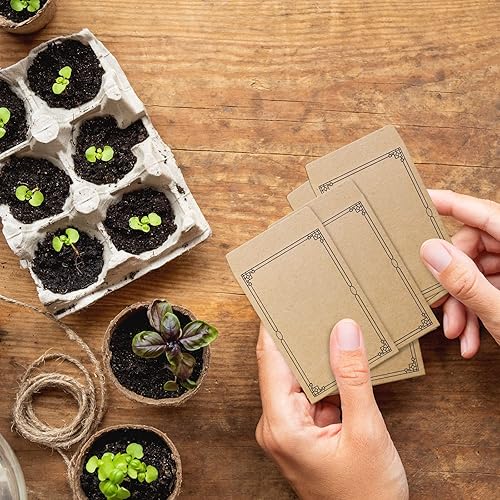 Miniatura 5 de 100 sobres de semillas resellables autosellantes paquetes de semillas de 315 x 472 pulgadas sobres de ahorro de semillas con plantilla de