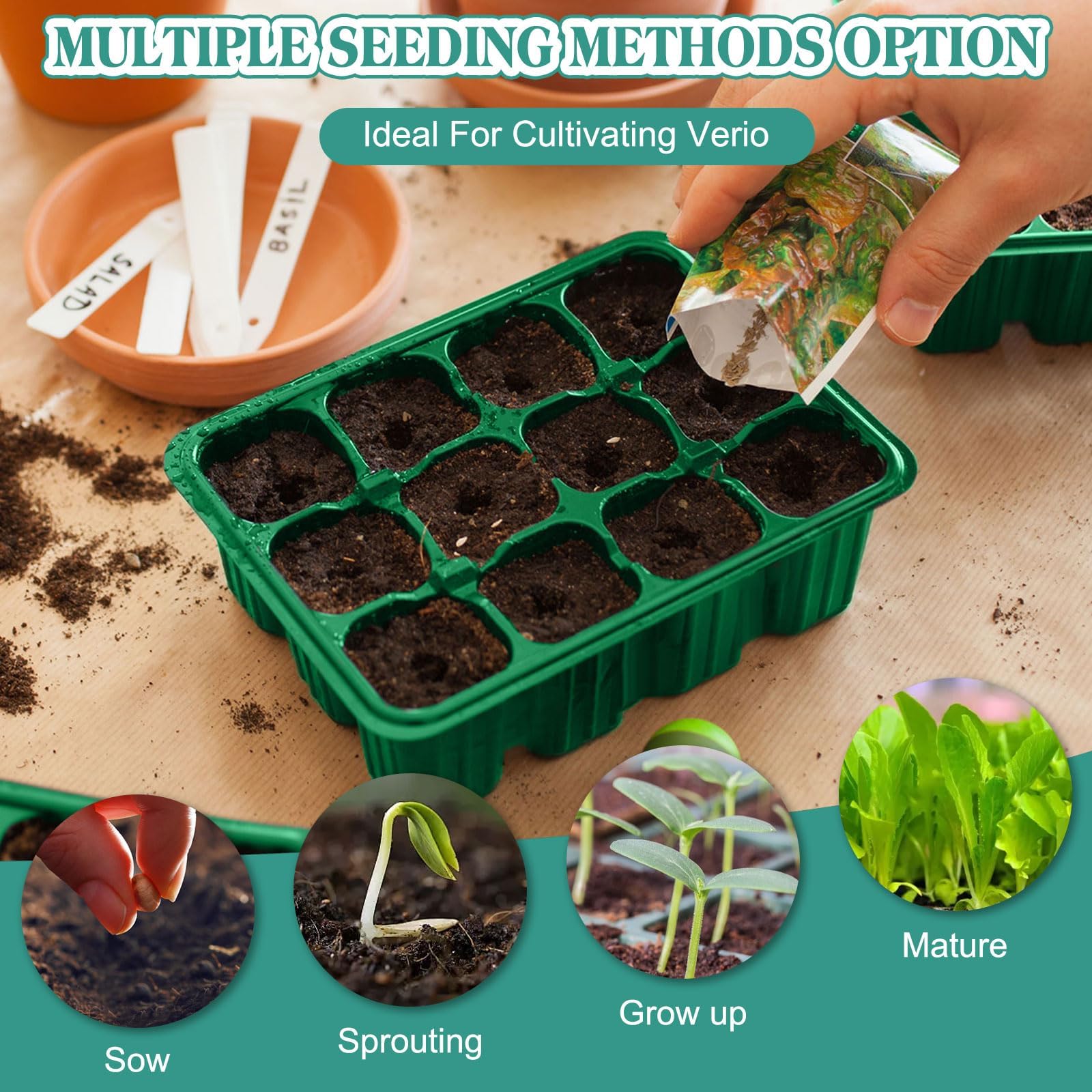 5 Pezzi Vassoi per La Germinazione, Vassoio Germinazione con Luce di Coltivazione Propagator con coperchi rialzati per Serra Giardino Verdura Frutta Seme Piante In Mini Serra