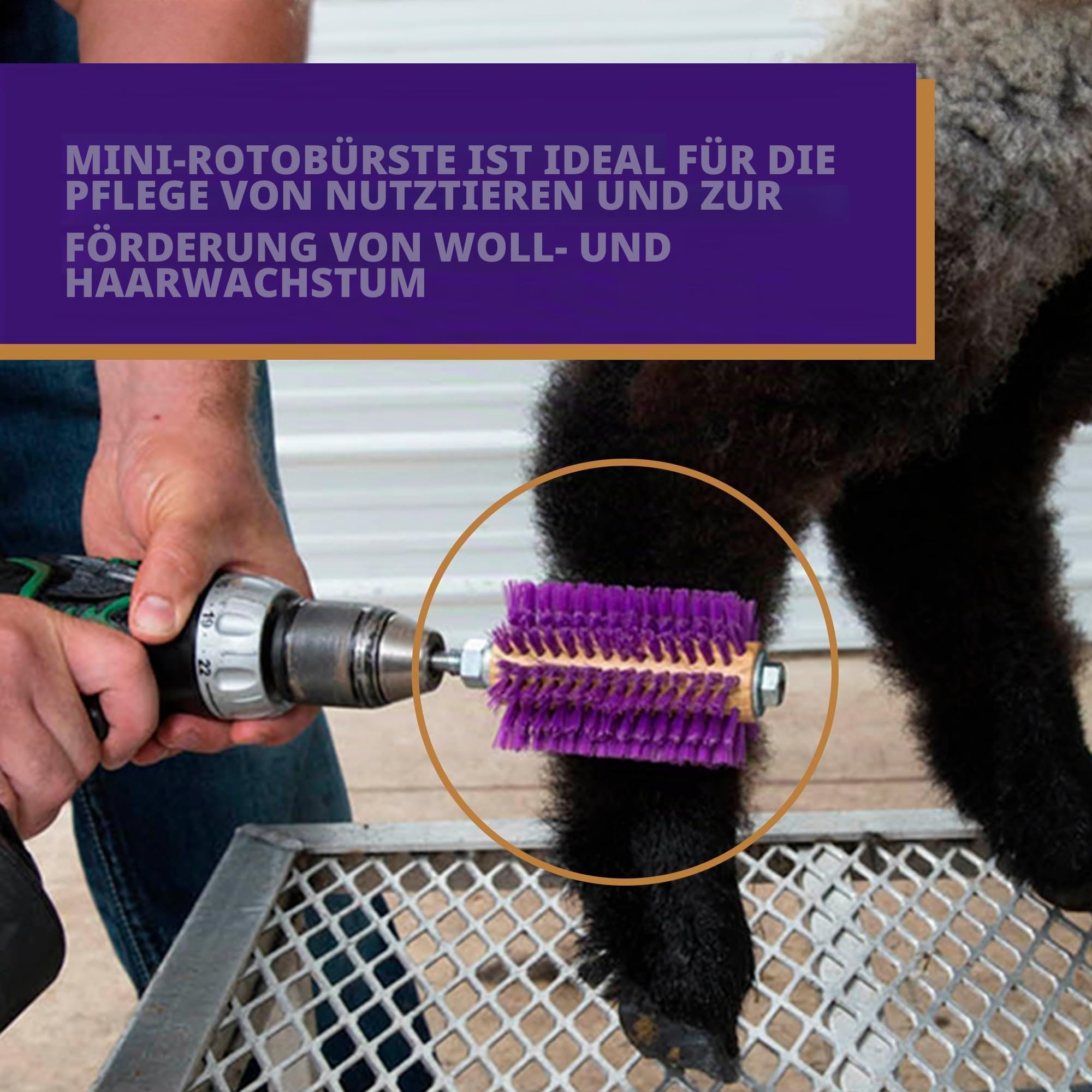 Weaver Leather Mini Roto Brush für Nutztiere, Woll-/Haar-stimulierende und Pflegebürste für Ziegen, Schafe, Rinder, Zur Verwendung mit Bohrmaschine, Fellenthaarungswerkzeug