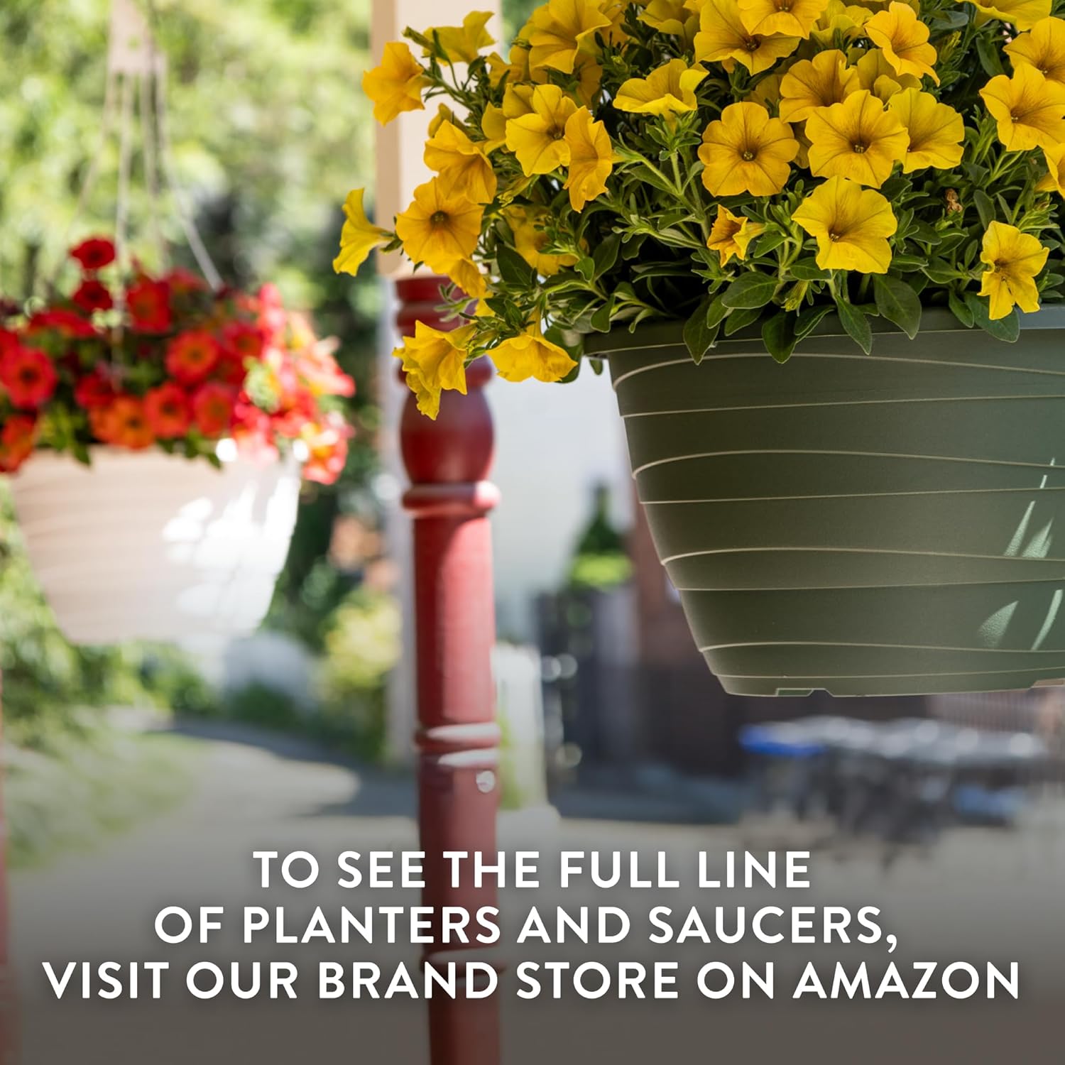 https://m.media-amazon.com/images/I/81W3i8q5ZjL._AC_SL1500_.jpg