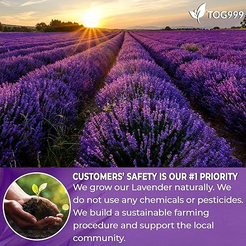 Miniatura 4 de Flor seca de lavanda de 4.5 onzas, cogollos enteros de flor de lavanda 100% natural y pura, flor de lavanda seca, té de hojas de lavanda, sin