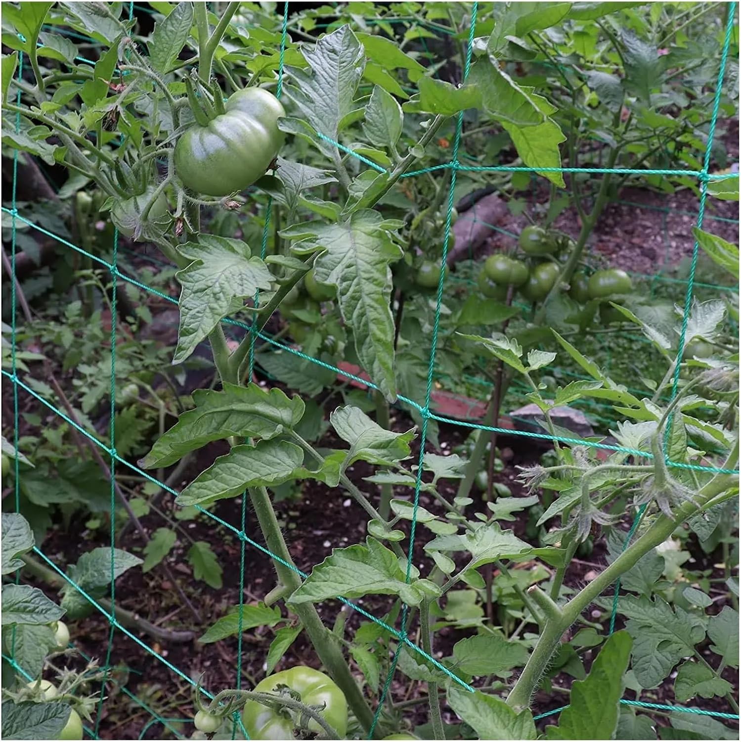36/24 Strands of 10x10cm Square Hole Plant Climbing Net Garden Plant Shelves Net Vegetable Flower Net Garden Weaving Grow Frame (Color : 5m x 20, Size : 24 Strands)