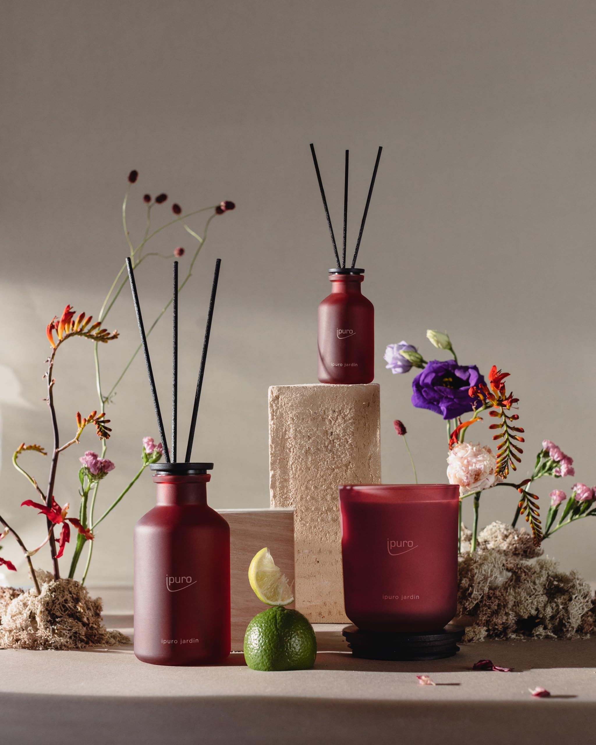 ipuro - Classic Raumduft Jardin - 75ml | Raumerfrischer mit Limette, Bergamotte, Magnolie & Rose, Nelke & Amber | Exotischer Garten Duft