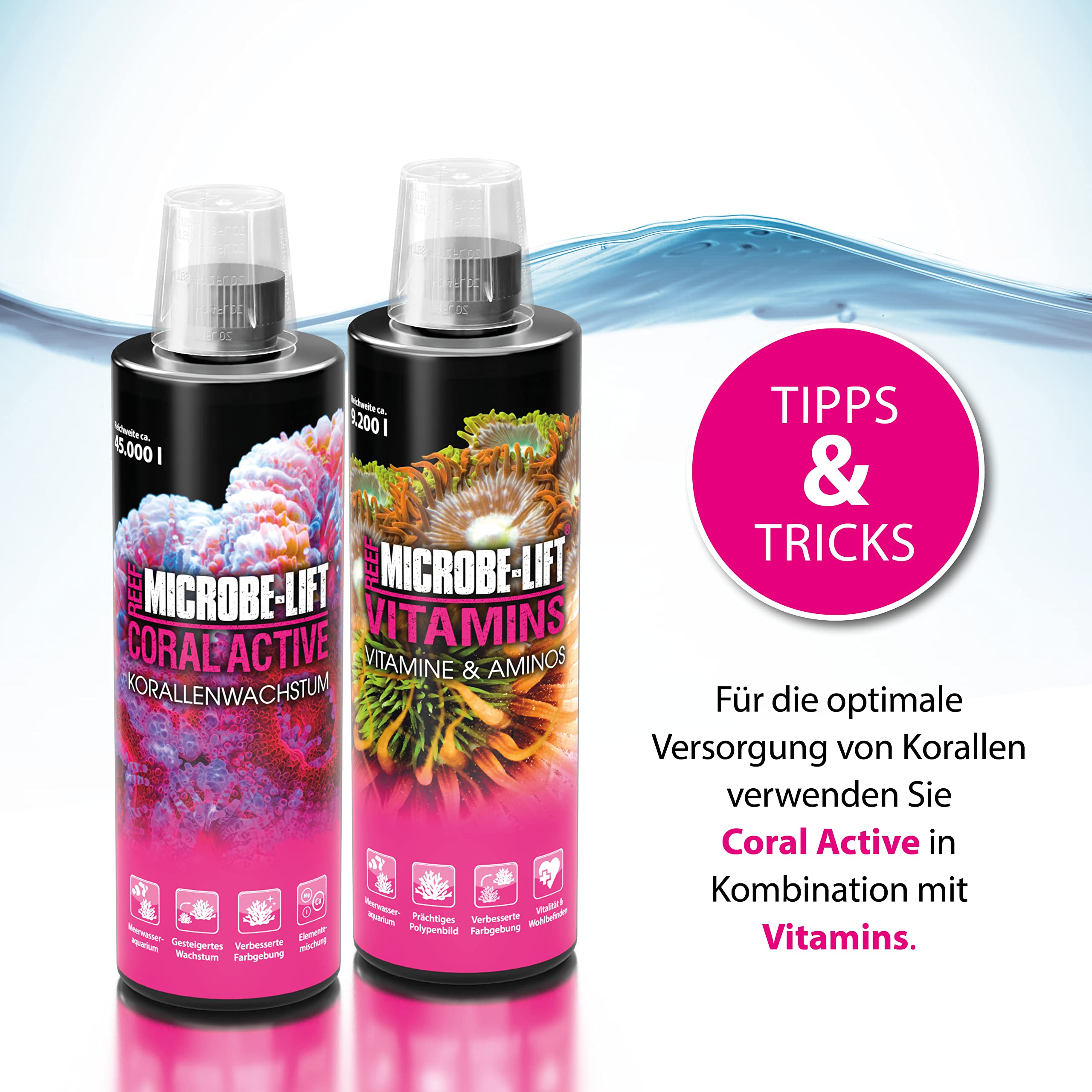 Belangrijke vitaminen voor de huid! - Palais des Cosmétiques