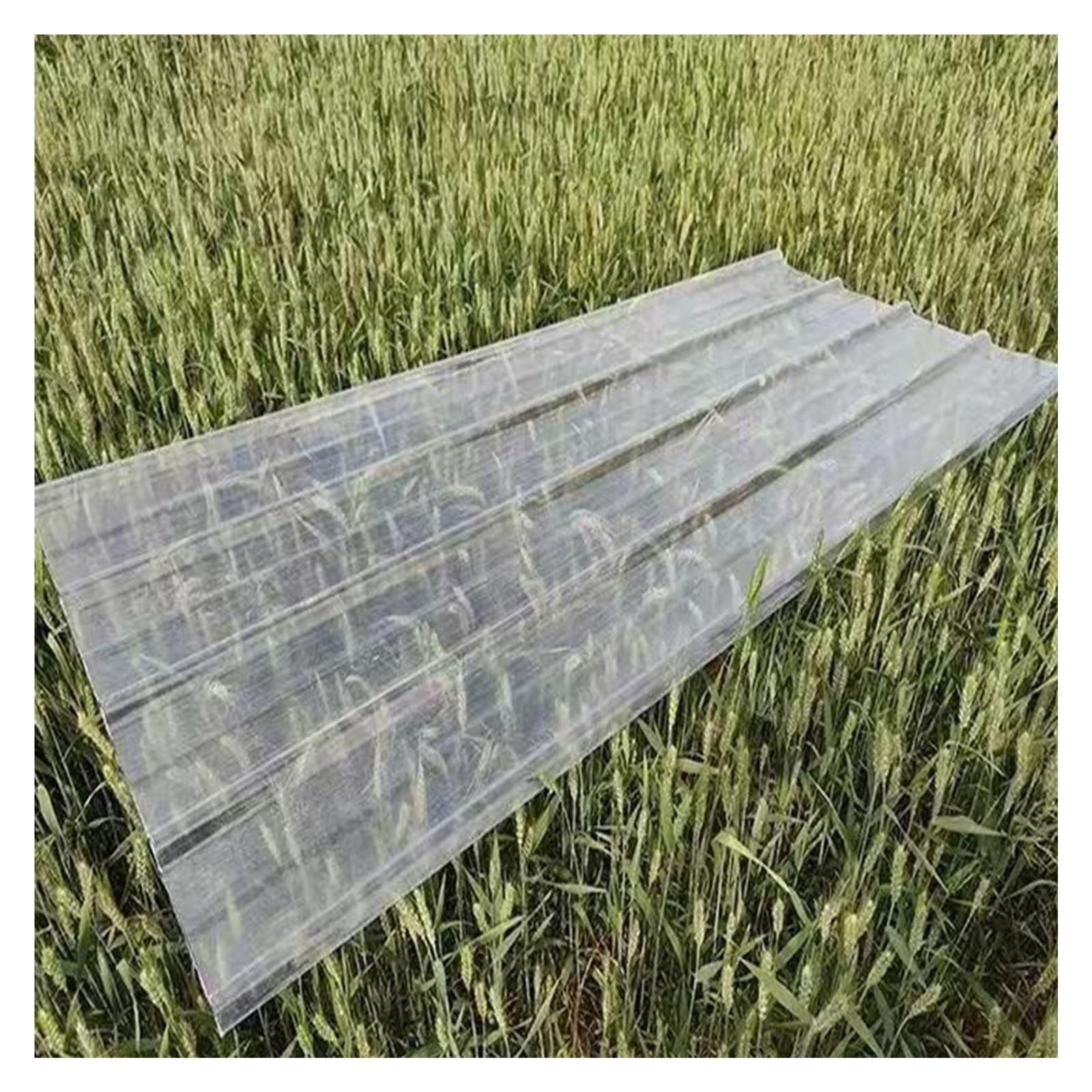 Polycarbonate alvéolaire 1.2mm en plaque ondulée pour toiture abri de jardin