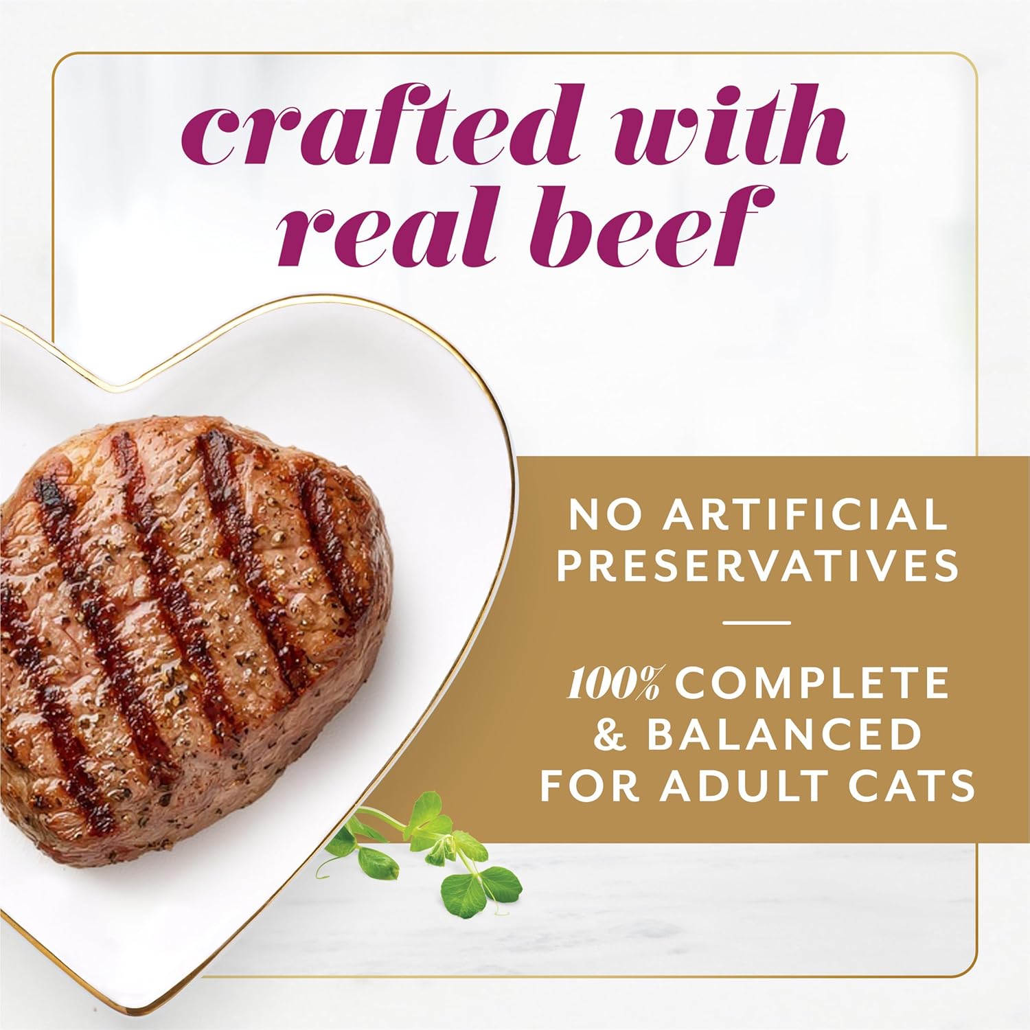Fancy Feast Gems Pate Cat Food Mousse with Beef and a Halo of Savory Gravy Cat Food - 4 oz. Boxes,(Pack of 16)