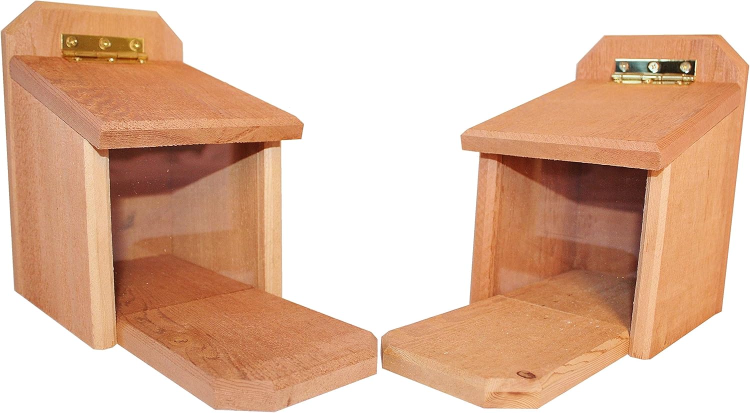 2 Squirrel Feeders