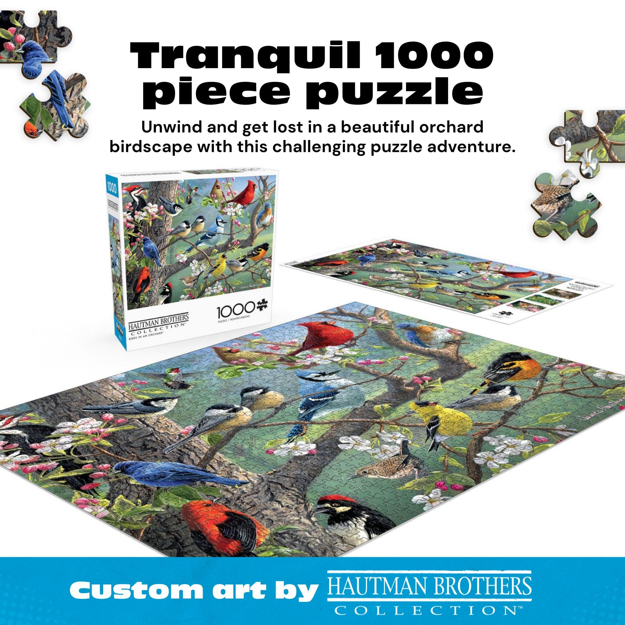 Buffalo Games - Frères Hautman - Oiseaux dans un verger - Puzzle de 1000 pièces