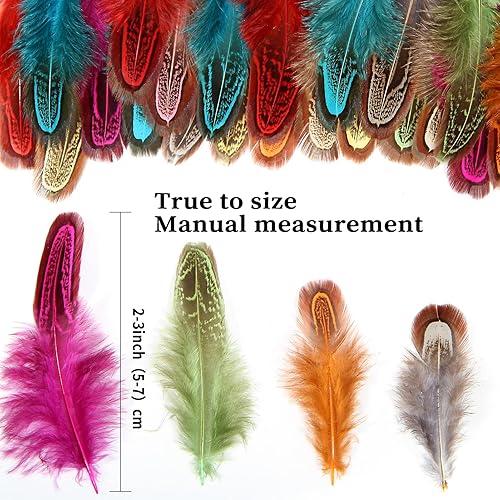 Miniatura 2 de FeelfunFeather 240 plumas de plumaje de faisán de colores mixtos de 2 a 3 pulgadas, plumas de plumaje manchadas naturales esponjosas para costura,