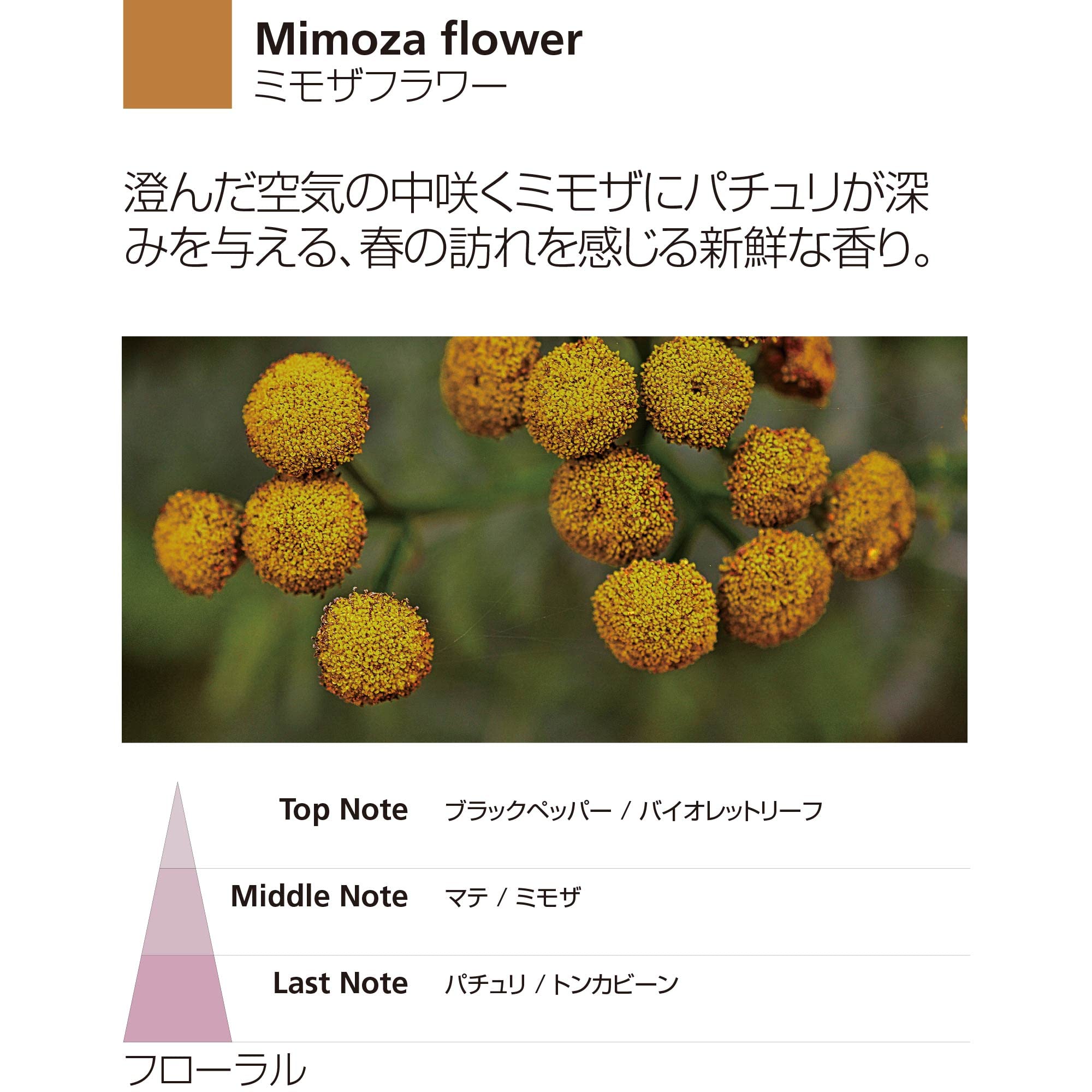 Millefiori アロマディフューザー レフィル Amazon.co.jp: Millefiori アロマディフューザー専用リフィル
