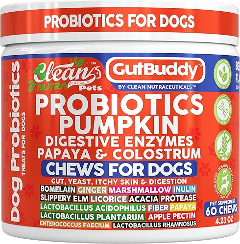 Clean Nutra GutBuddy - Masticables probióticos para perros con calabaza, enzimas digestivas, papaya y calostro, suplemento natural para perros para