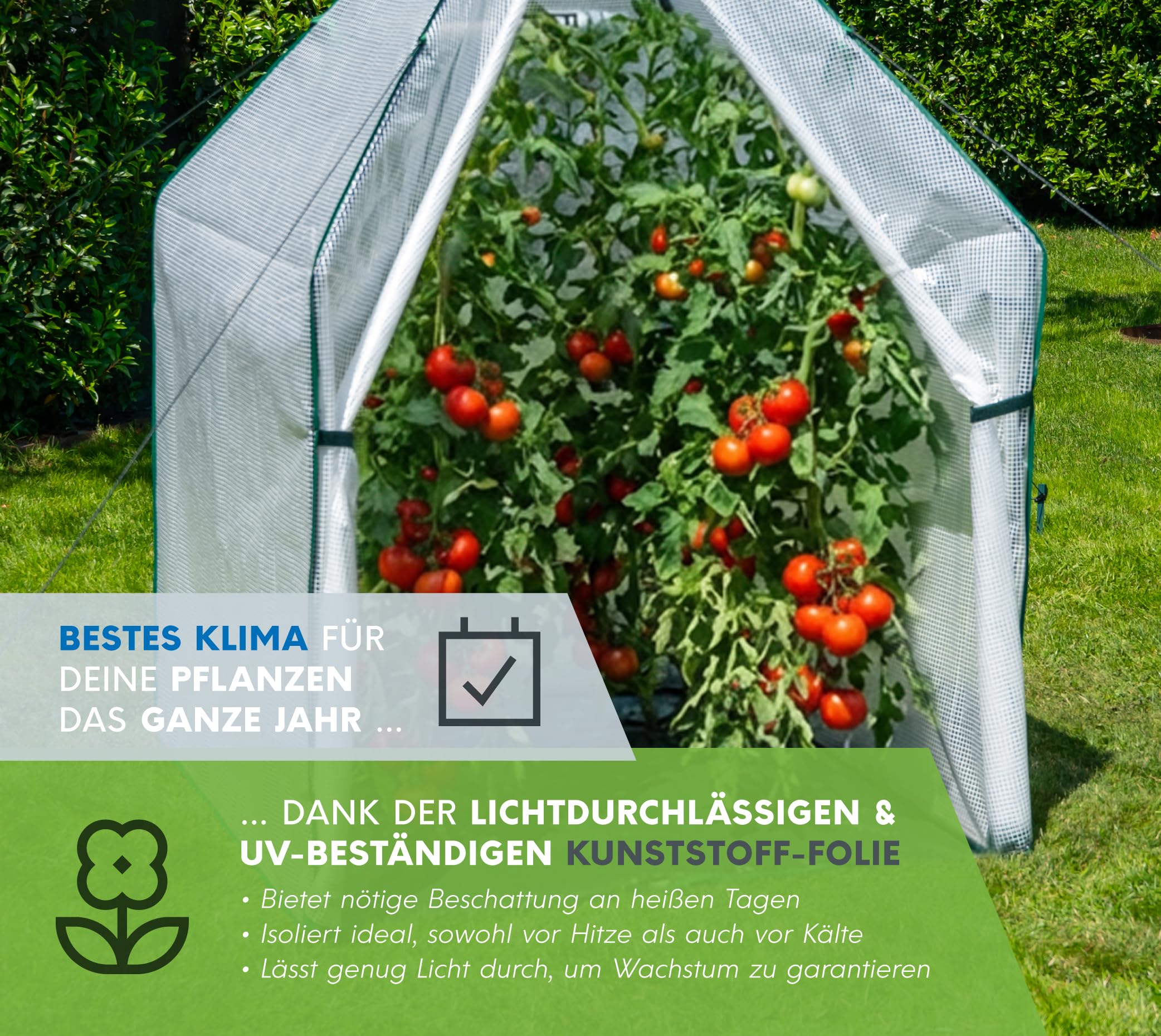 WESTMANN Piment Tente d'hivernage | 120 x 120 x 180 cm Blanc | Protection des plantes & serre en film pour l'hivernage des plantes