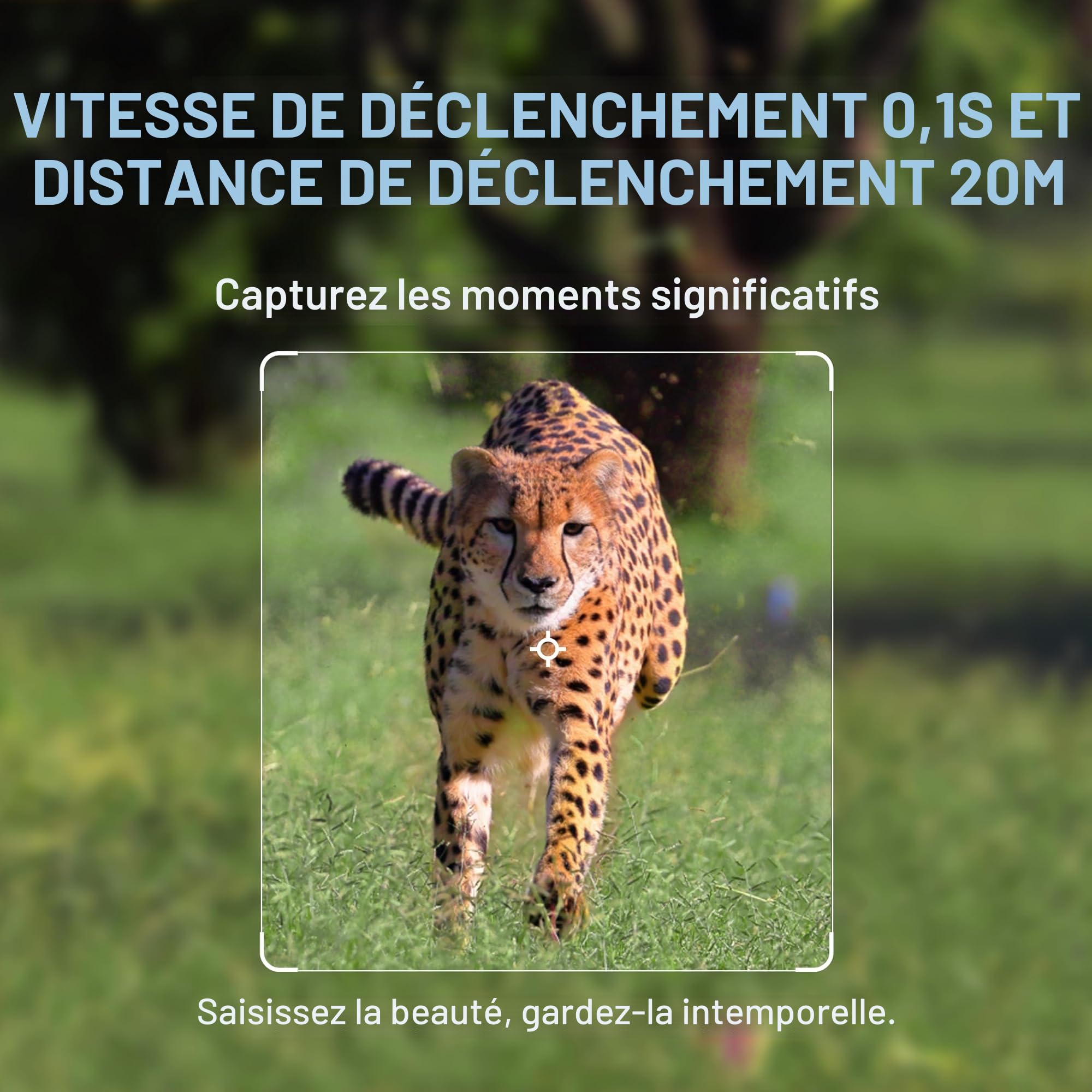 WOLFANG WiFi Caméra de Chasse,64MP 4K HD Caméra Chasse avec 940 nm No Glow Vision Nocturne,IP66 Étanche pour l'observation des Animaux