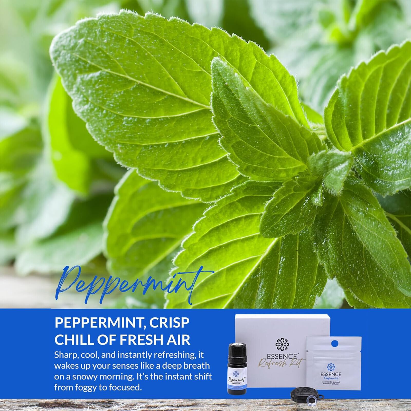Essence - Difusor nasal | Anillo de aceite esencial | Kit de actualización de inhalador de nariz de silicona (menta)