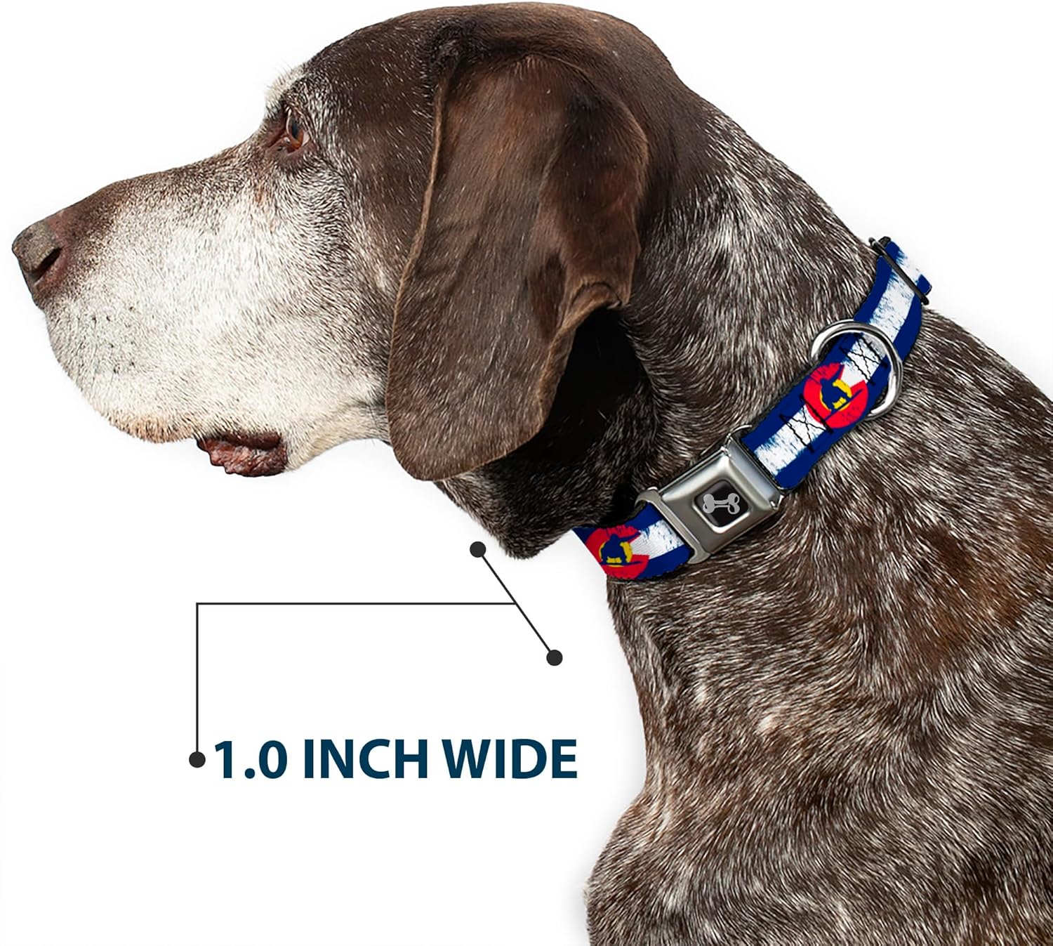Buckle-Down 9-15" Colorado Flag/Snowboarder Weathered Dog Collar Bone, Small