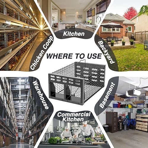 Miniatura 7 de Trampa para ratas, trampa humana para ratas vivas y restablecimiento automático para ratones con diseño de puerta unidireccional dual, captura y