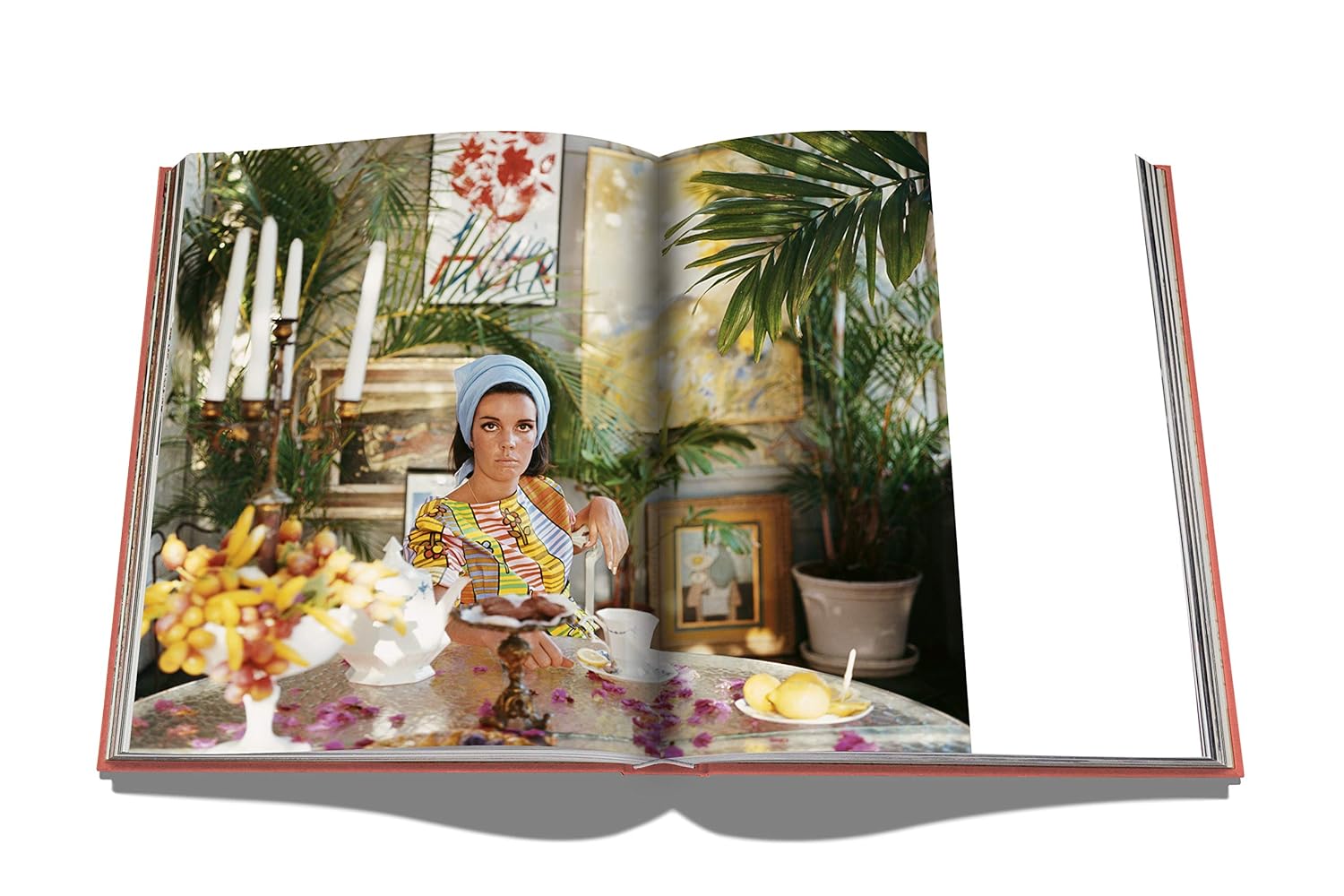 Palm Beach - Image 8