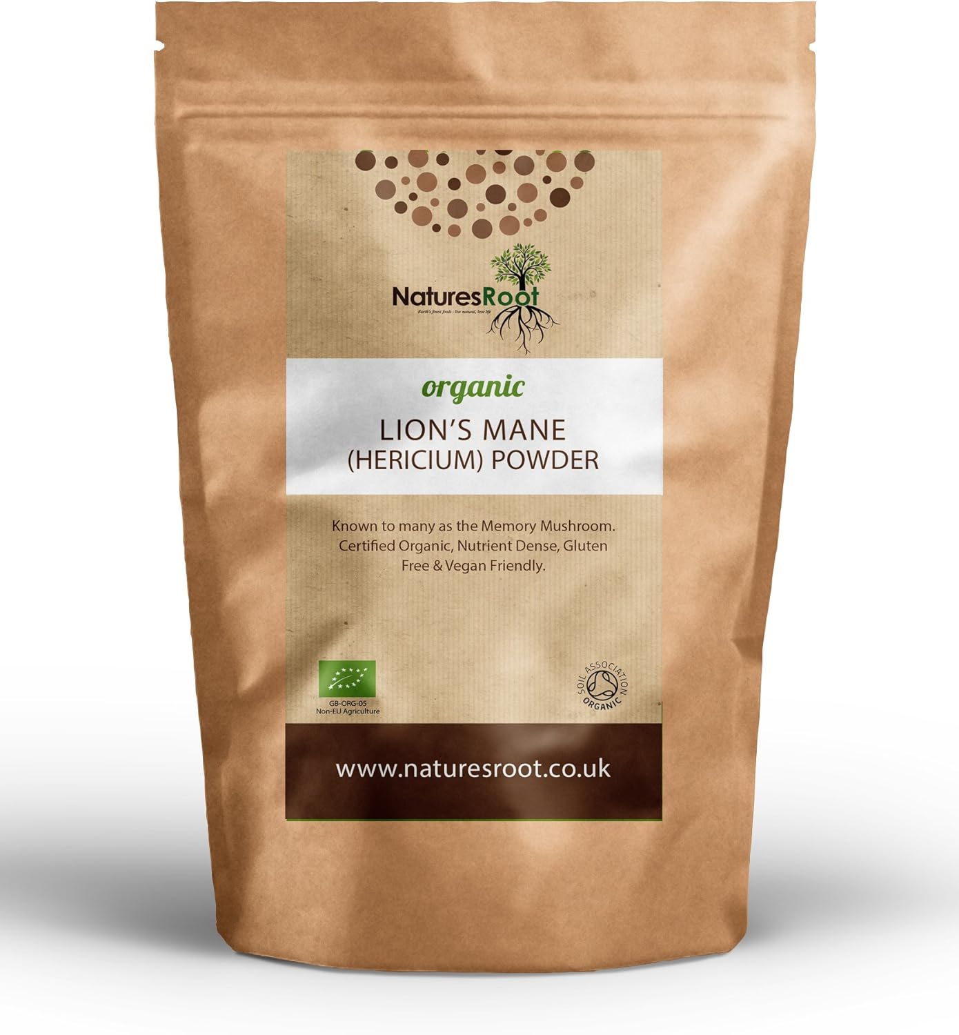 lion's mane mushroom powder uk